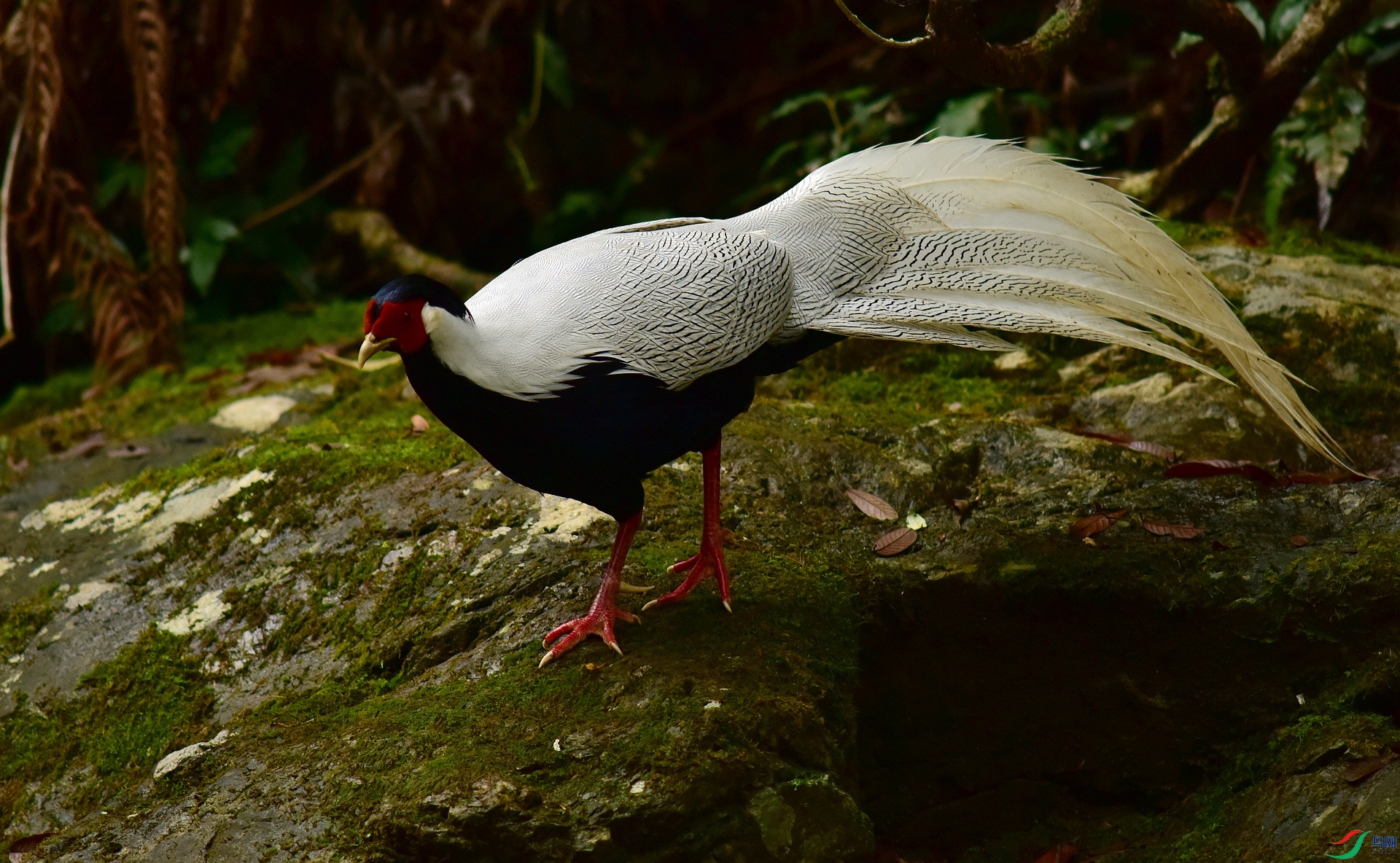 D8I_6504.jpg