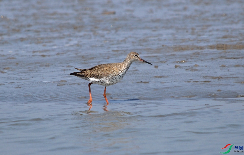 DSC_0224.jpg