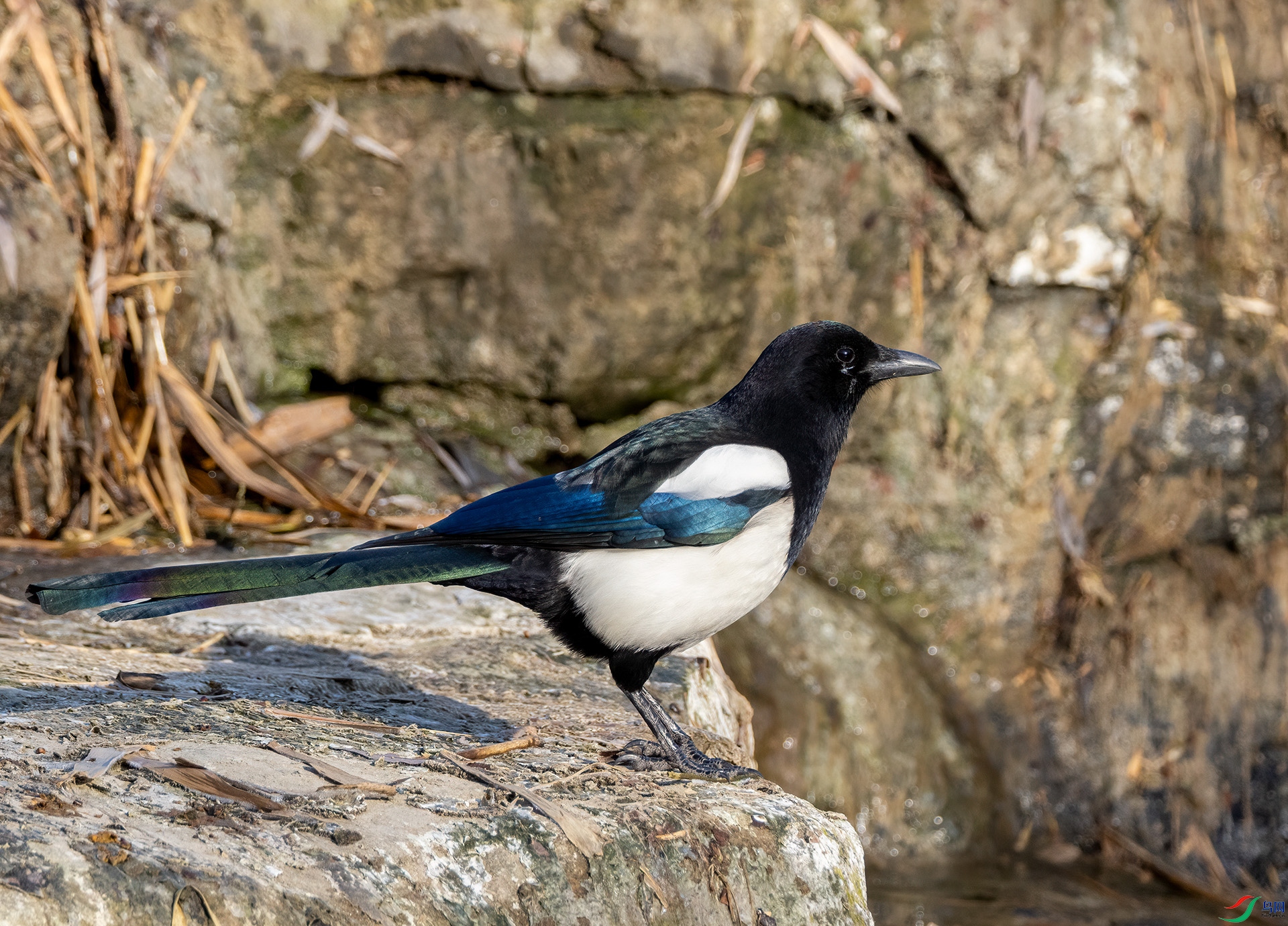 4E9A8904- ����.jpg