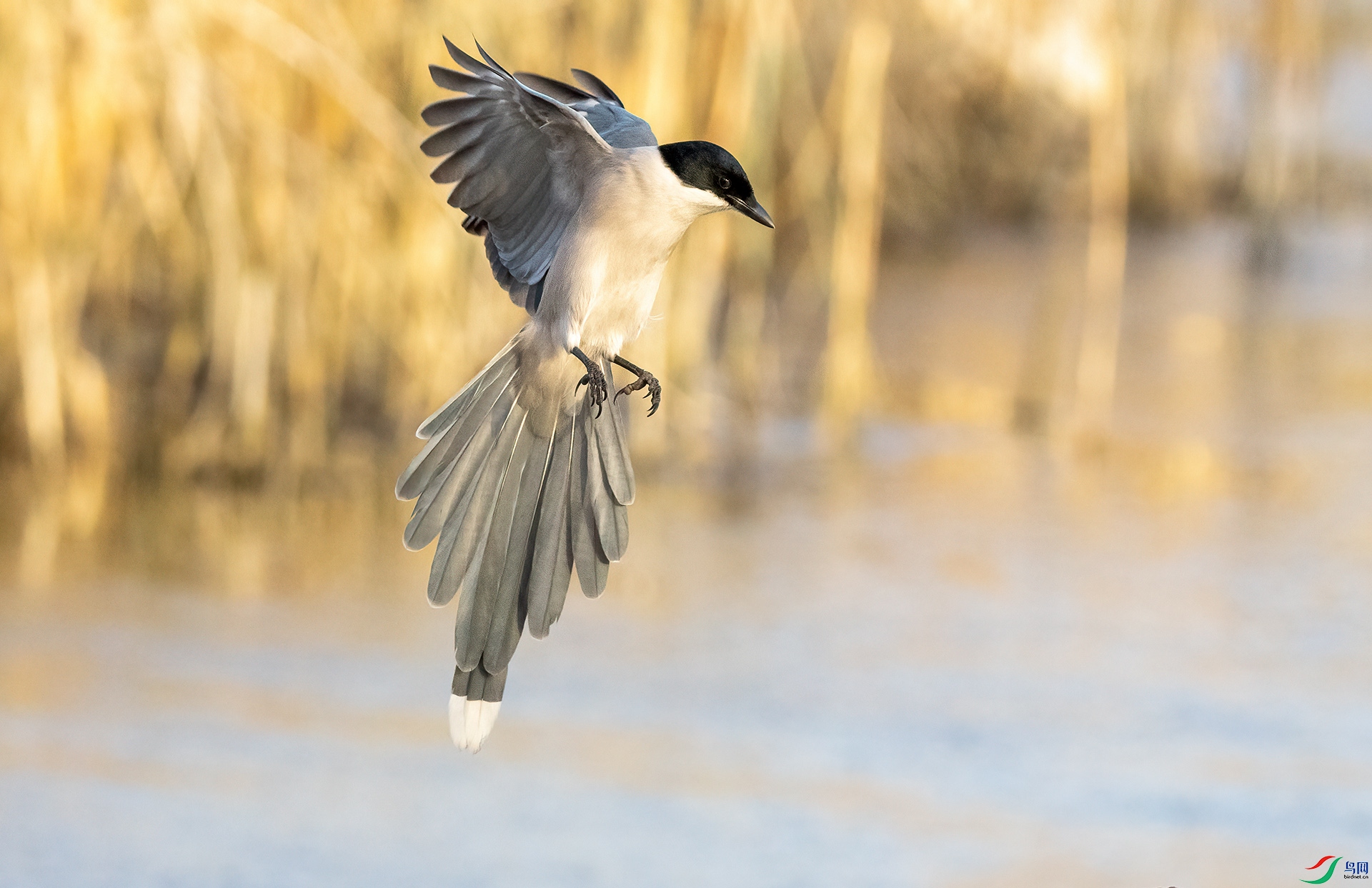 4E9A0064- ����.jpg