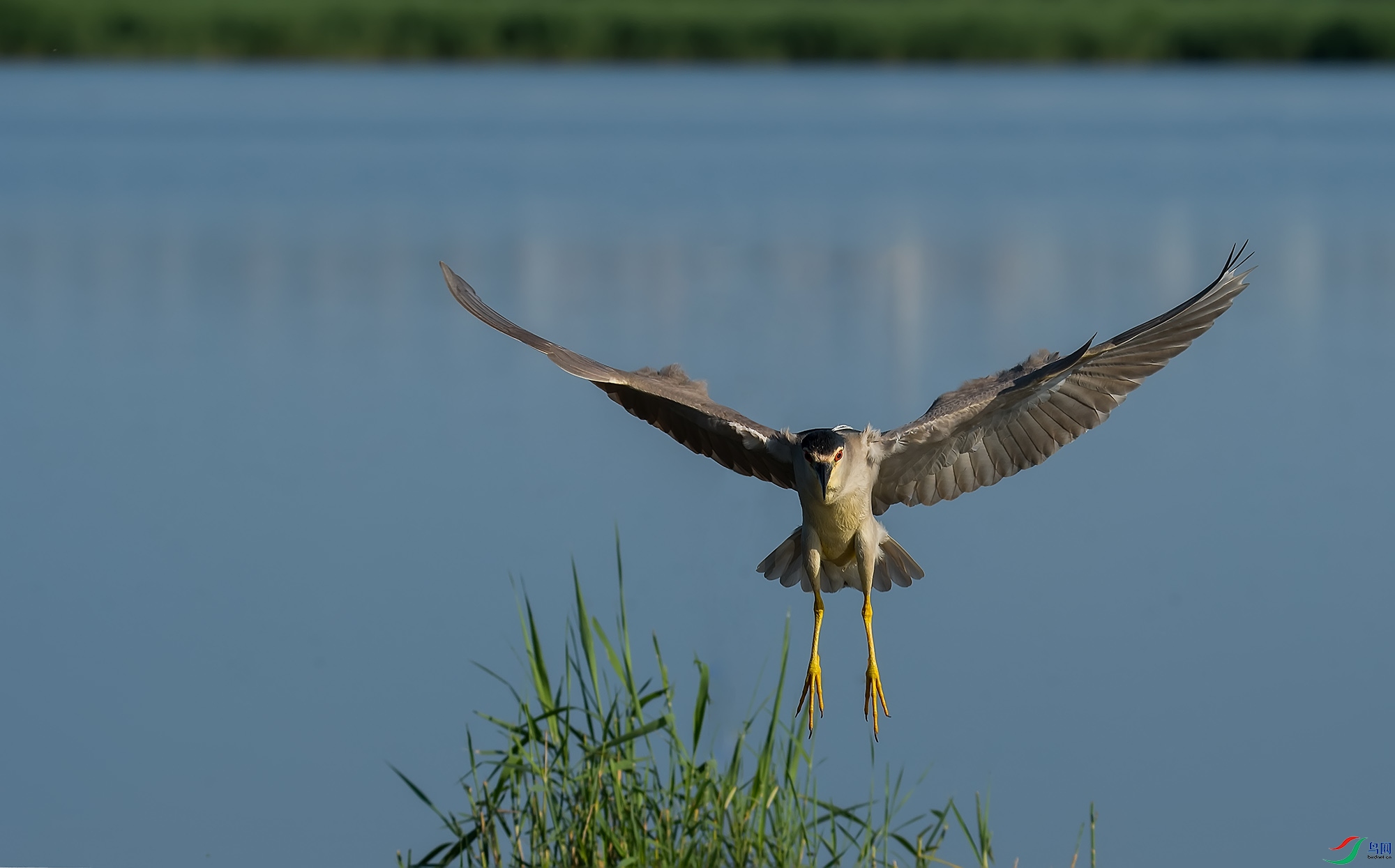 DSC_8495.jpg