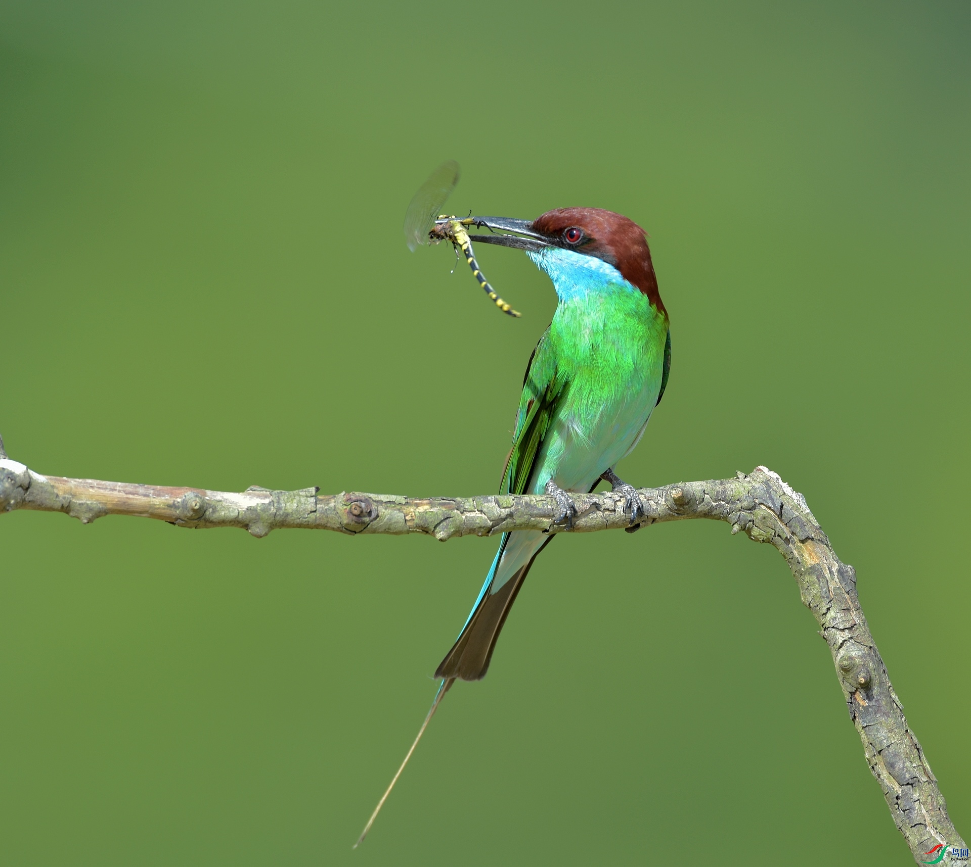D72_6651.jpg