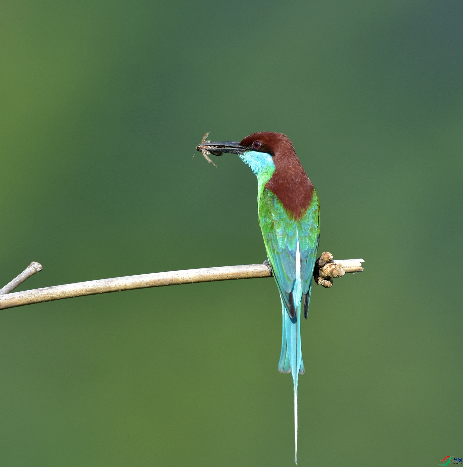 D72_6518.jpg