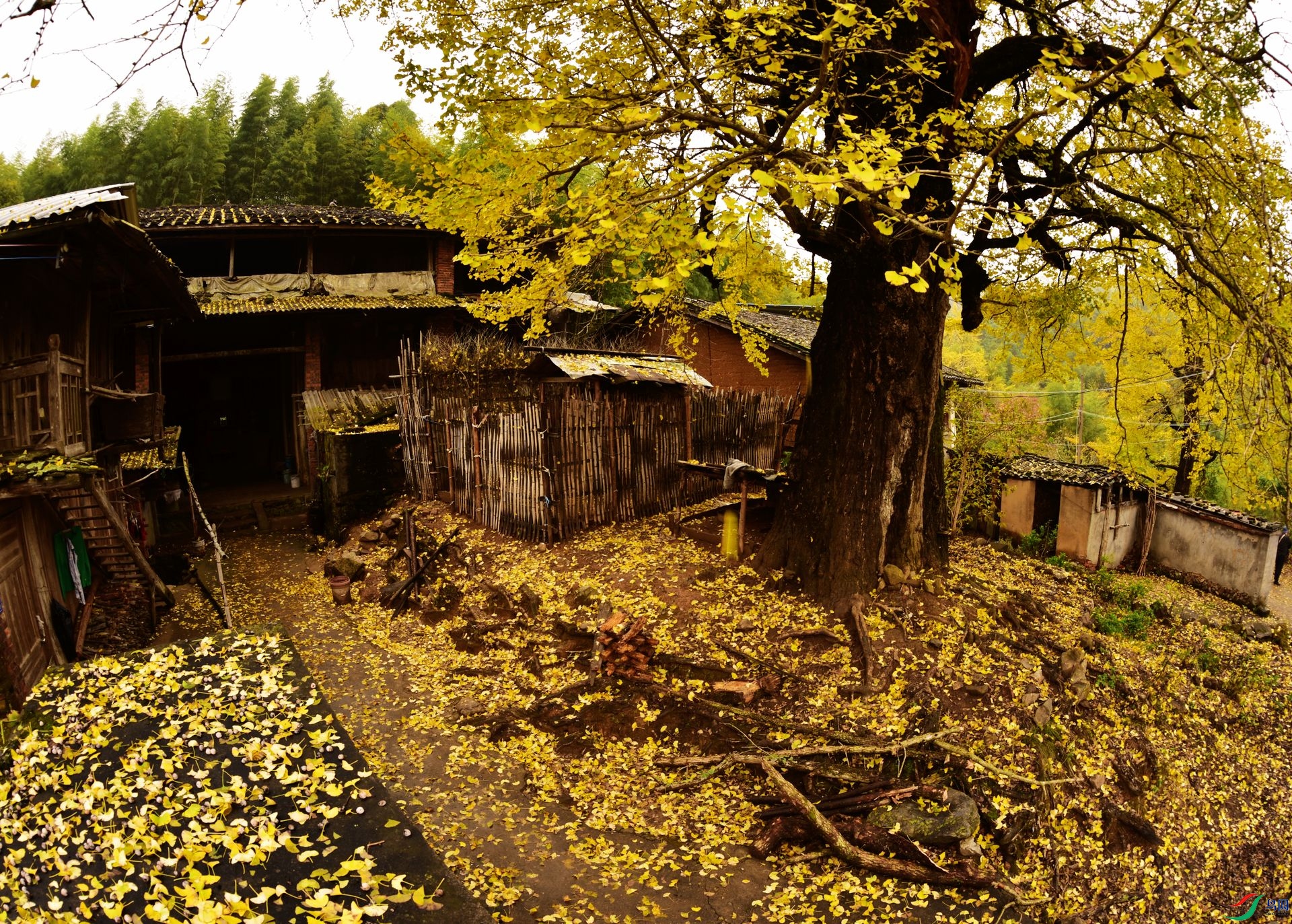 D8I_8867.jpg