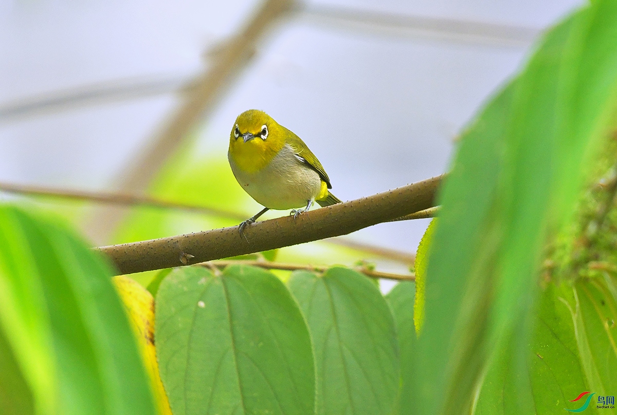 DSC_0139.JPG