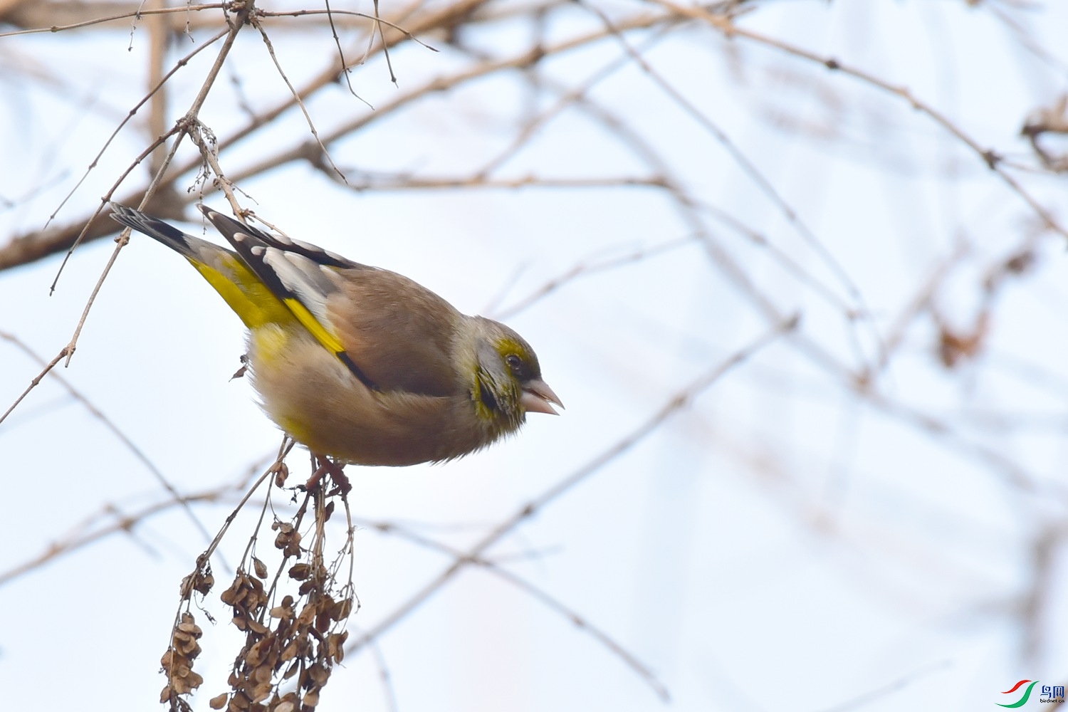 DSC_8925.JPG