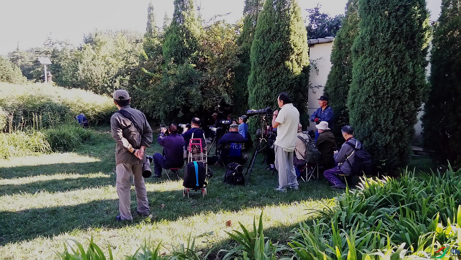 DSC_0311 (1)_����.jpg