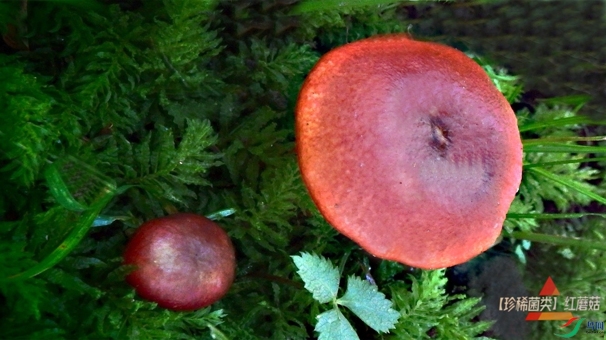 P8168755.jpg