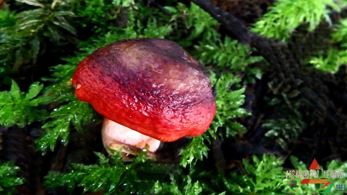 P8168754.jpg