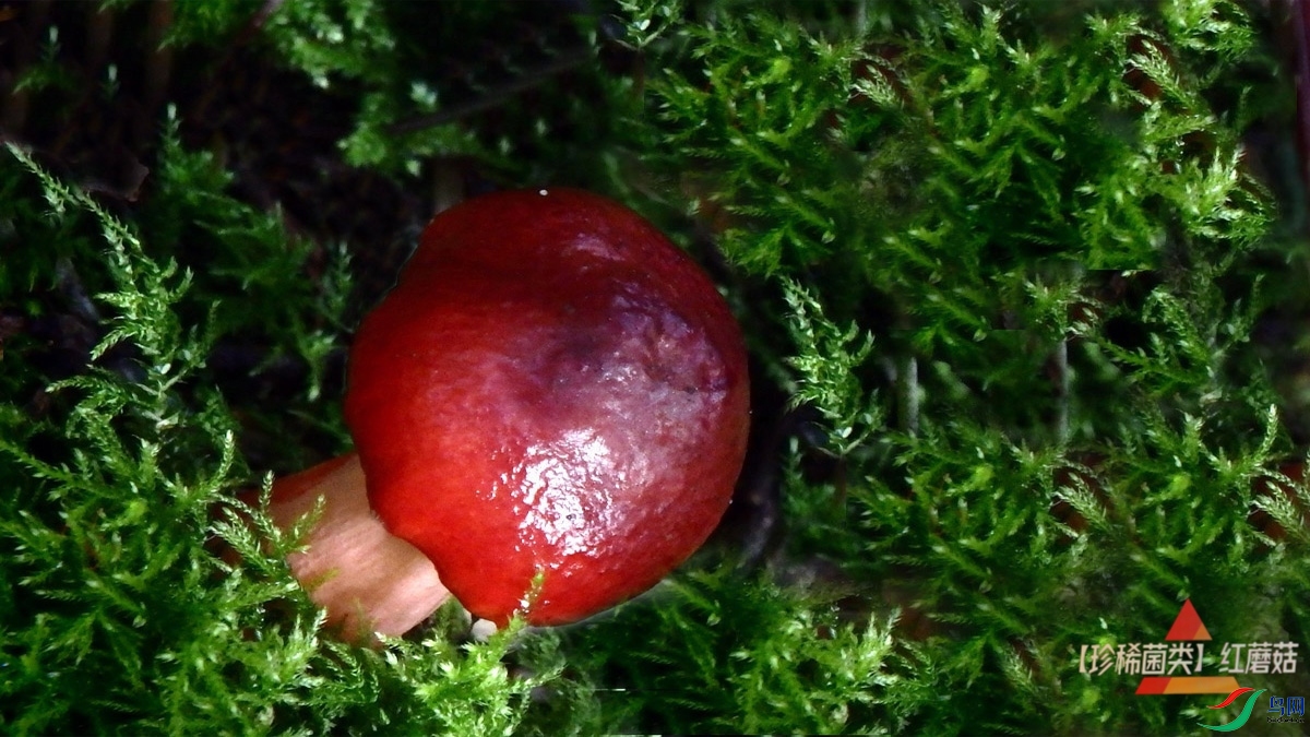 P8168758.jpg