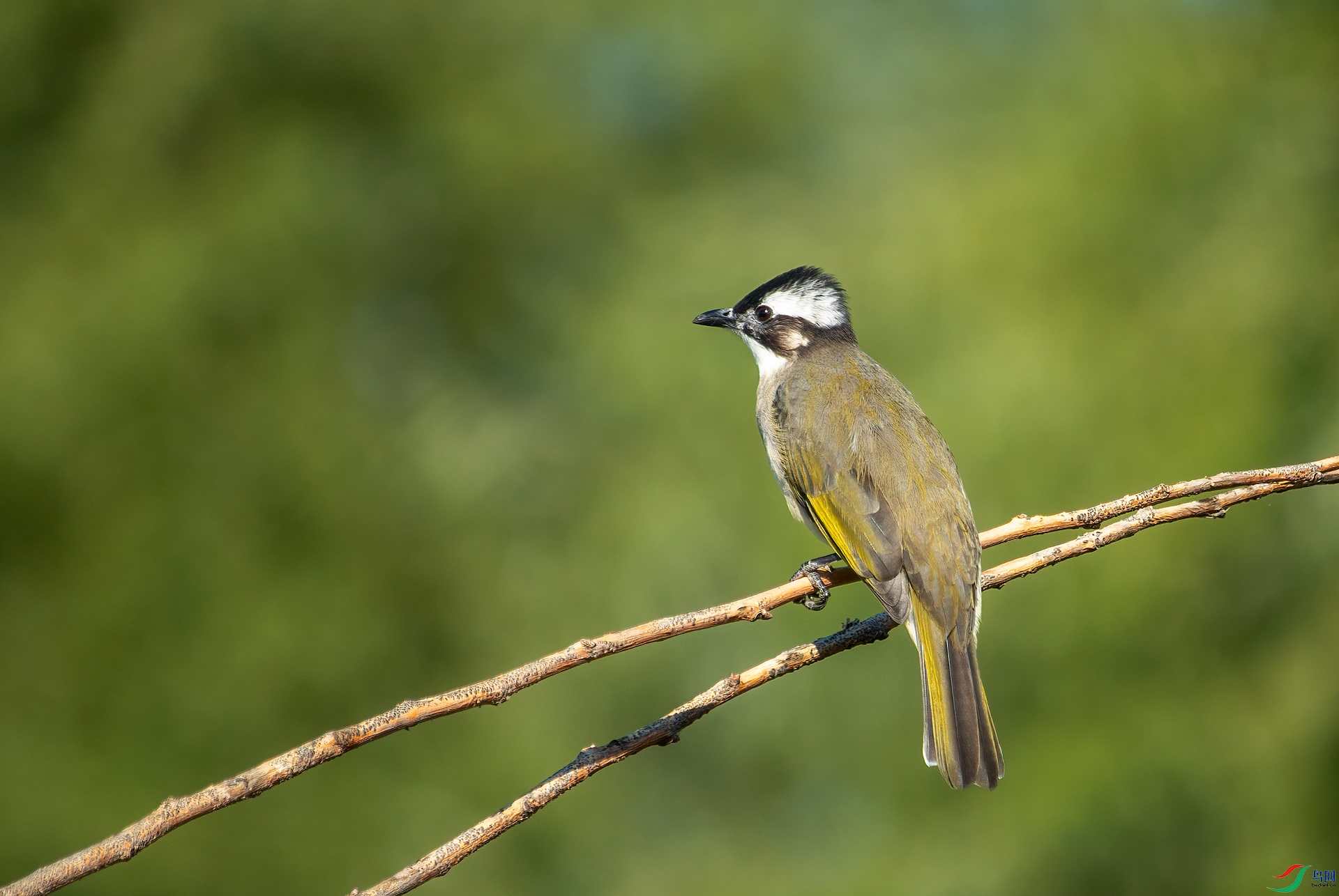 IMG_7871- ����.jpg