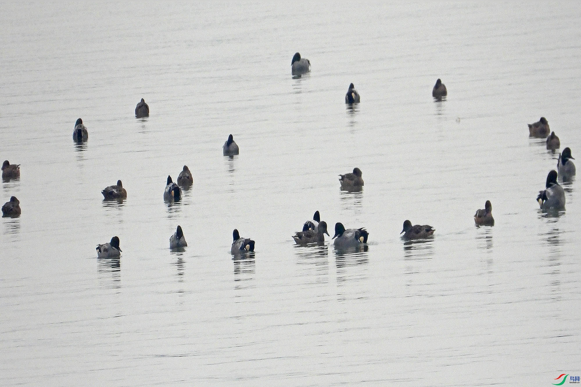 DSCN1330.jpg