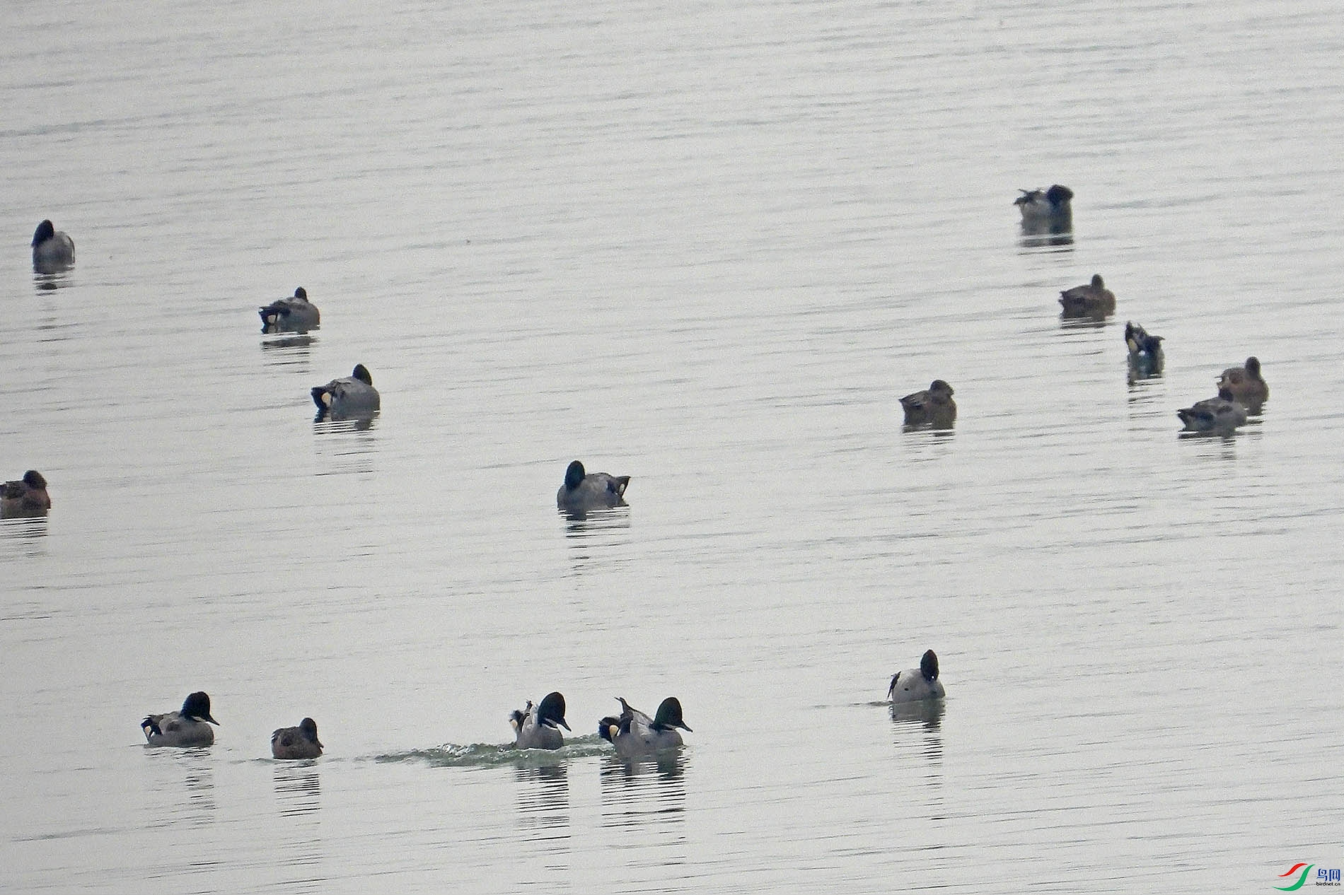 DSCN1345.jpg