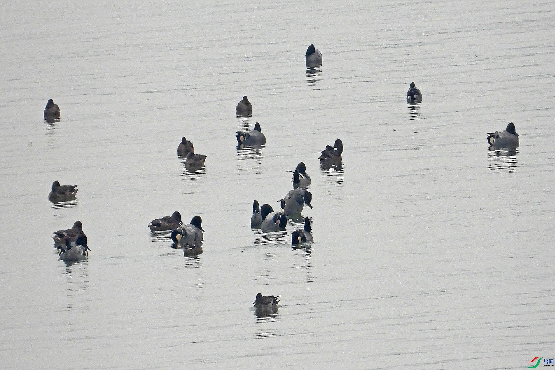 DSCN1338.jpg
