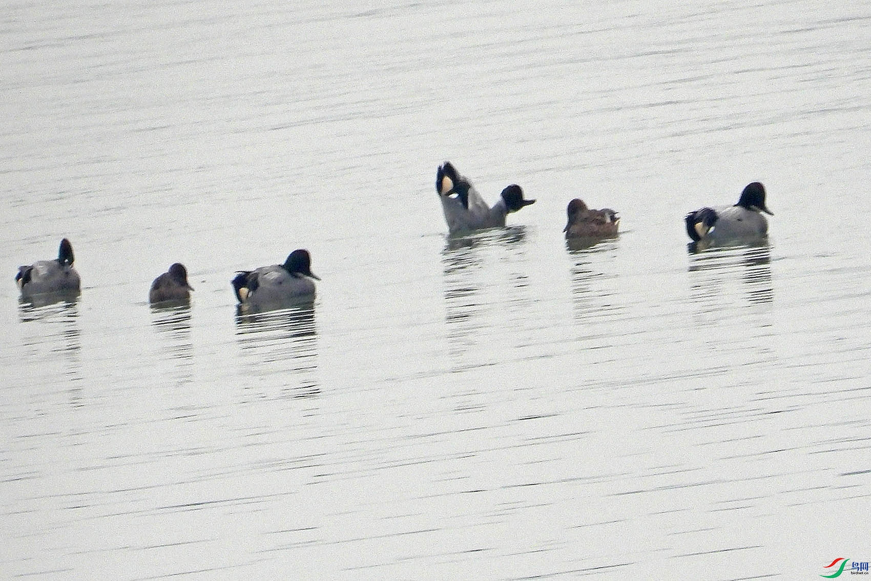 DSCN1362.jpg