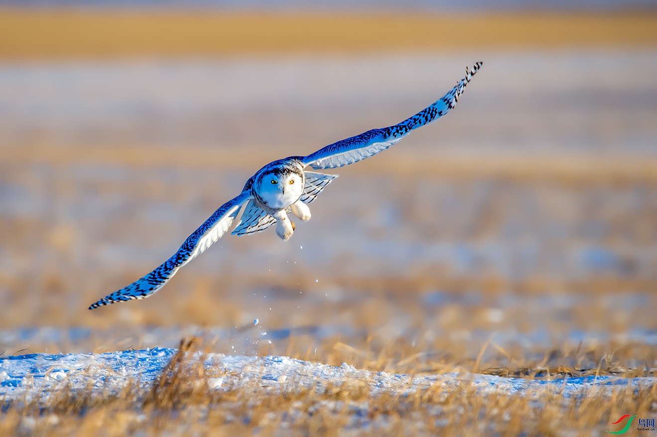 DSC_7119-a.jpg