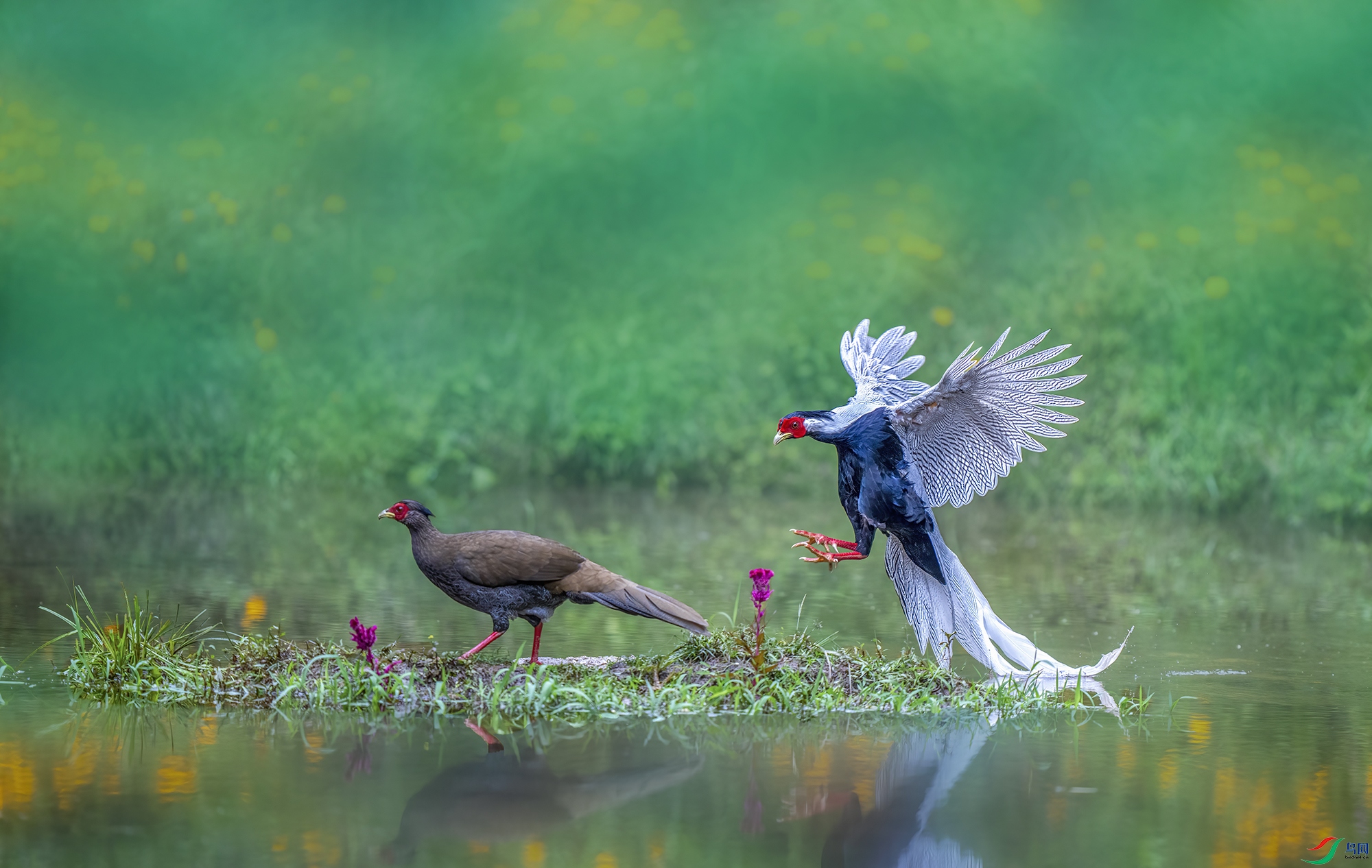 �����Ӻ��ϡ�_DSC1085С.jpg
