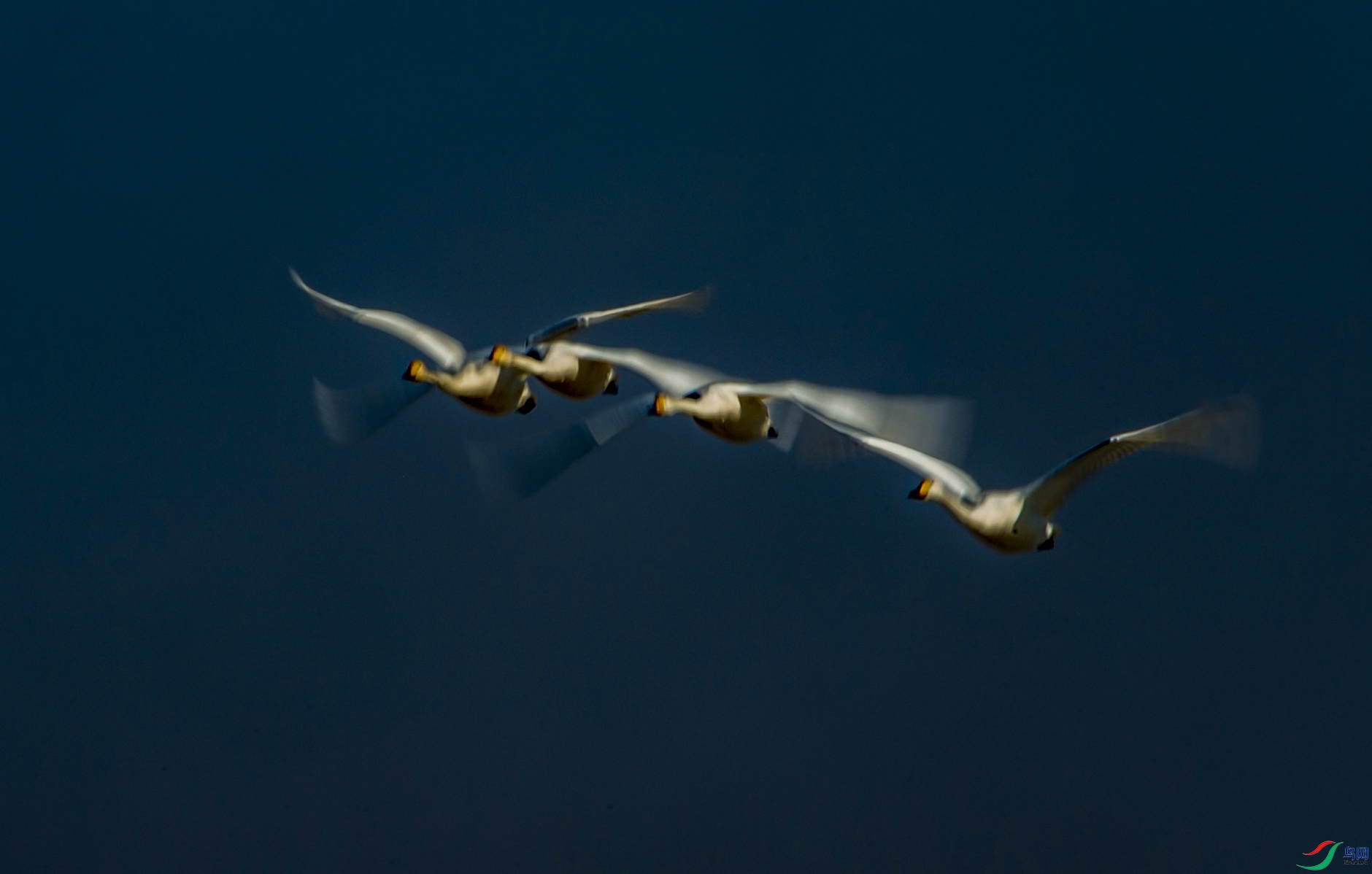 DSC_8623.jpg