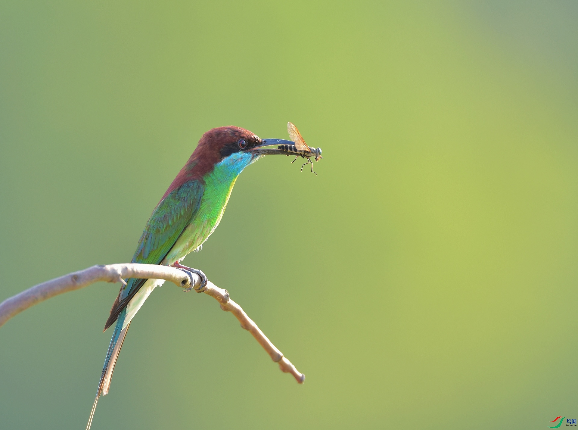 D72_8570.jpg