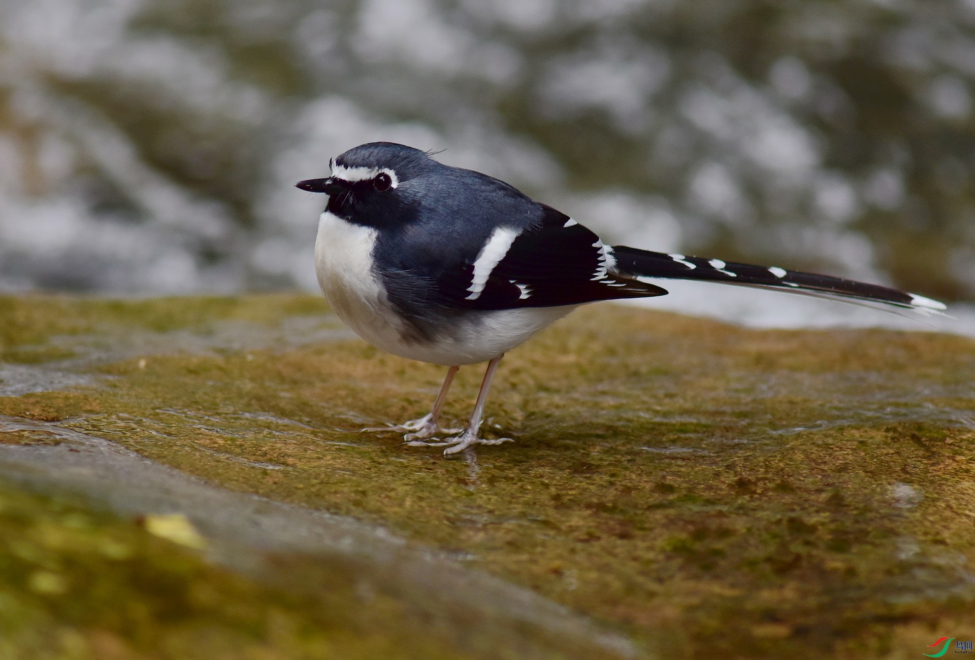 D8I_7890.jpg