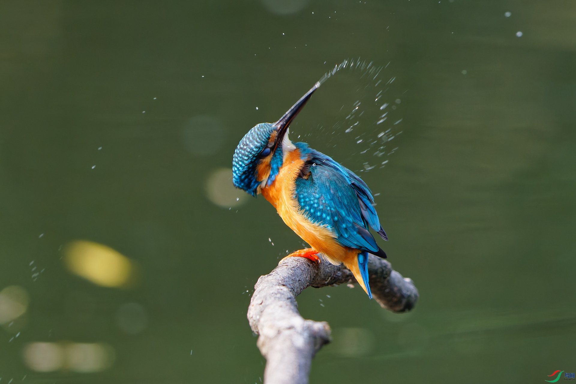 ˦ ˦ ˦ -����.jpg