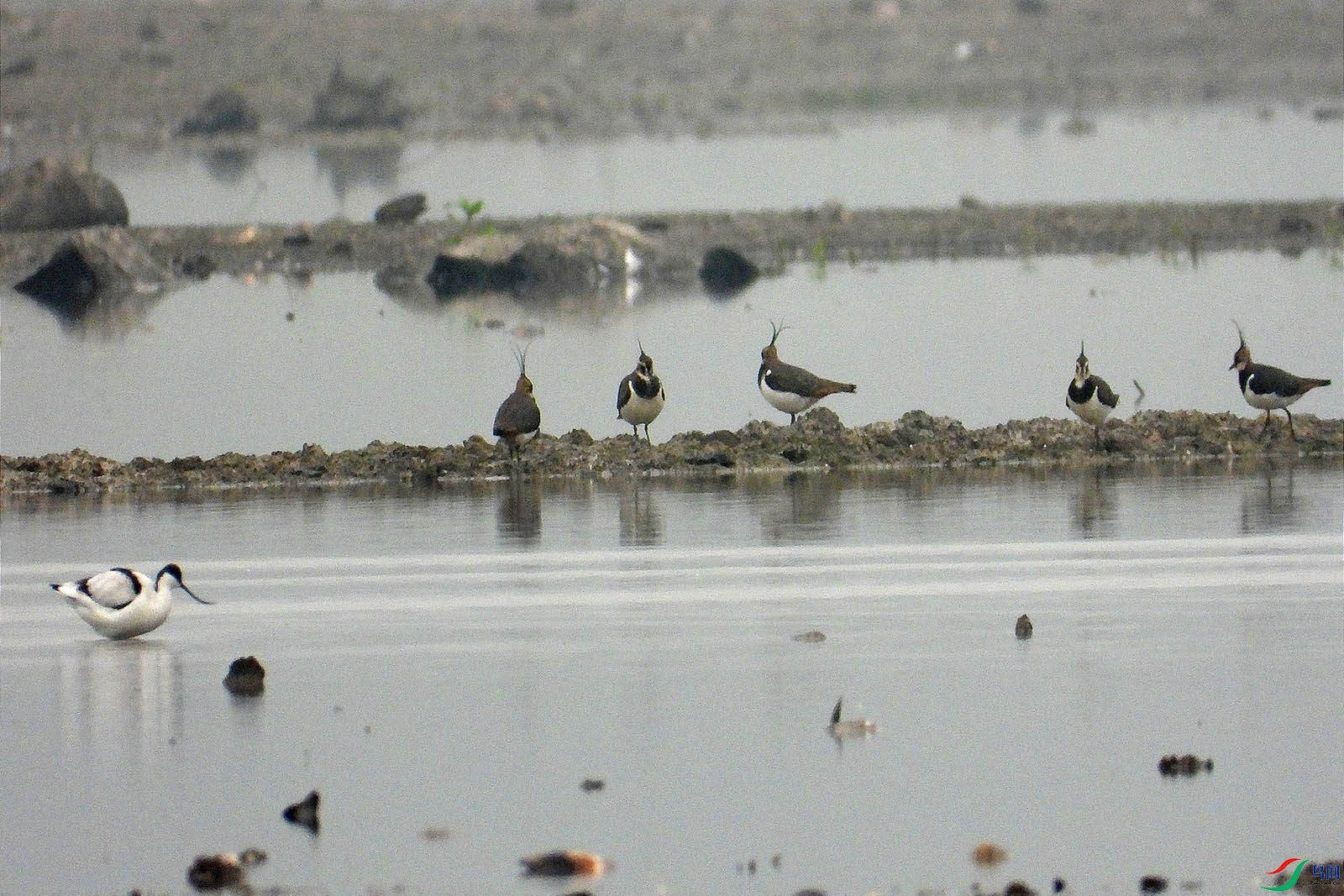 DSCN1511.jpg