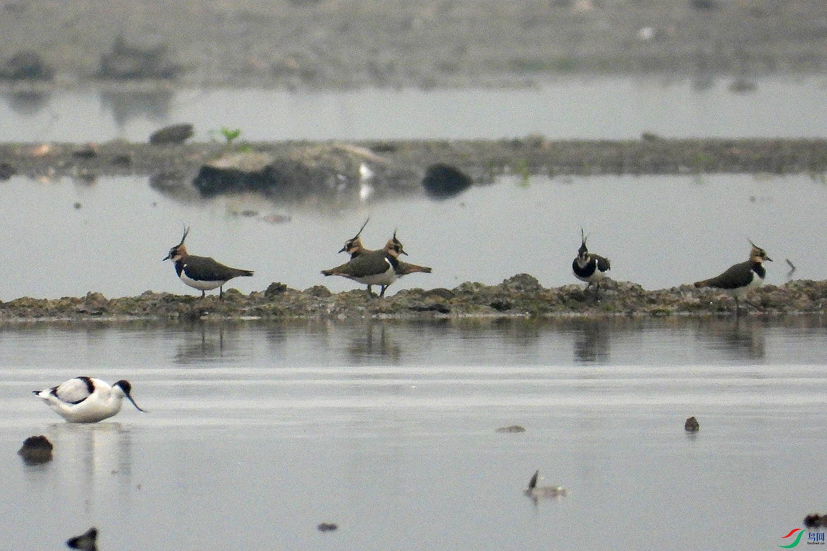 DSCN1512.jpg