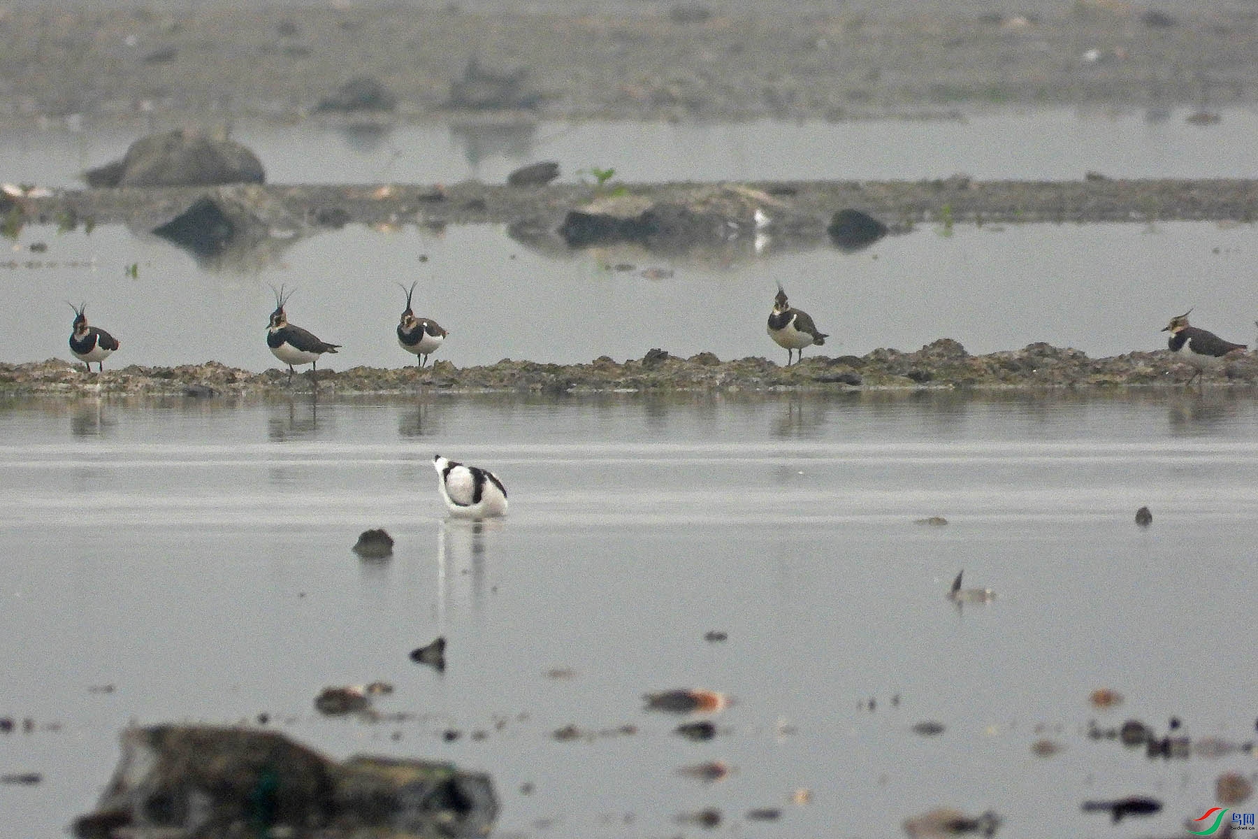 DSCN1517.jpg