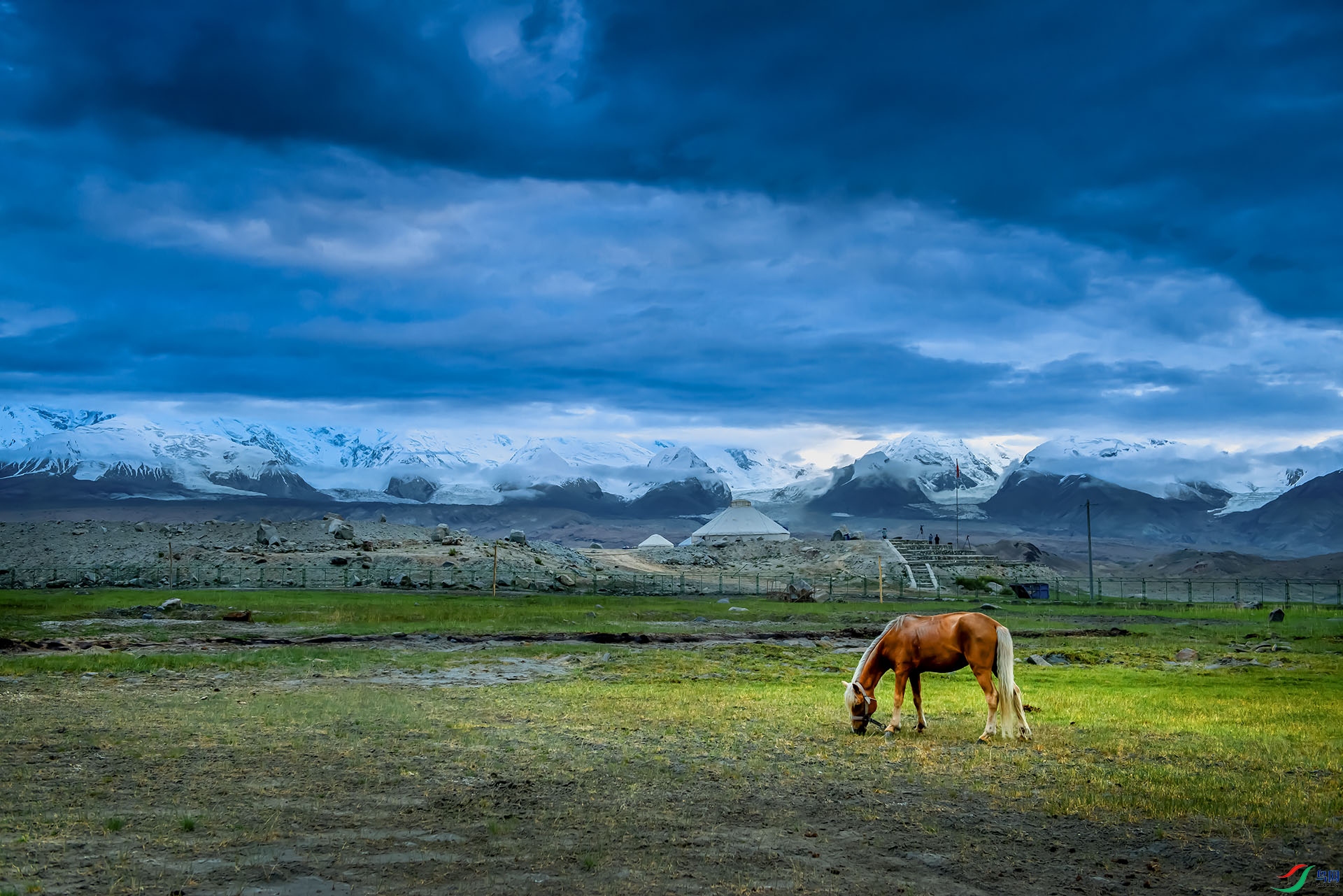 _DSC7815 - �Բݵ����� - A.jpg