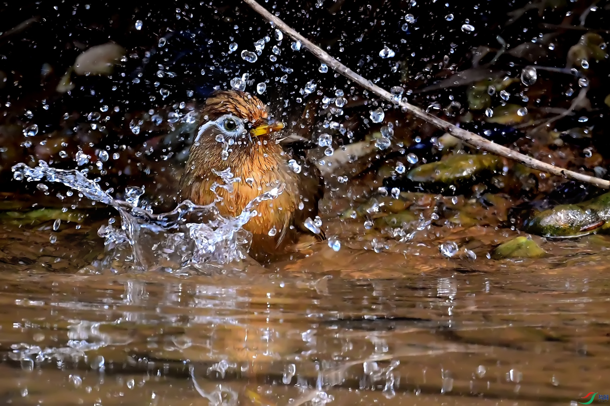 DSC_6837.jpg