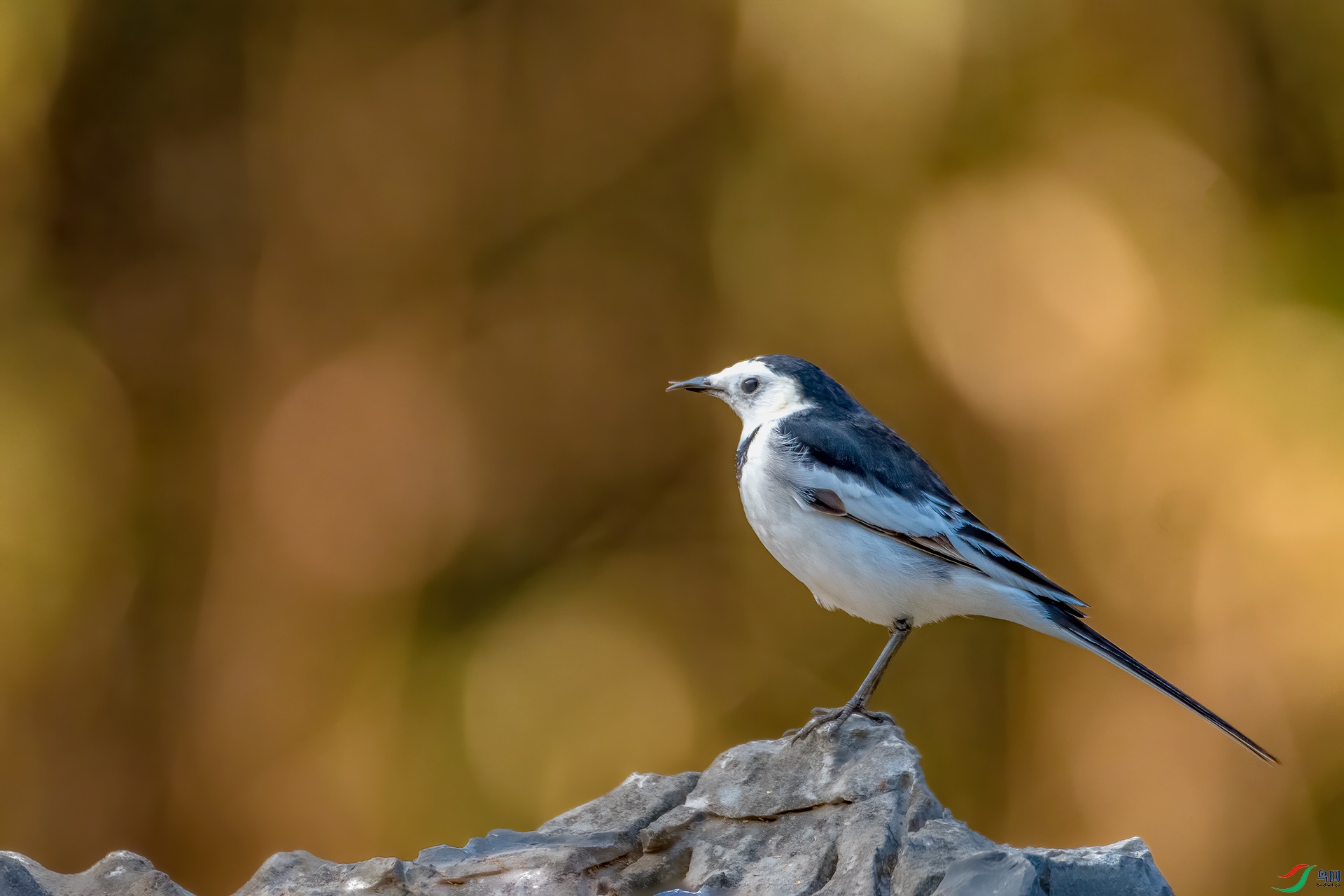 _DSC3190С.jpg