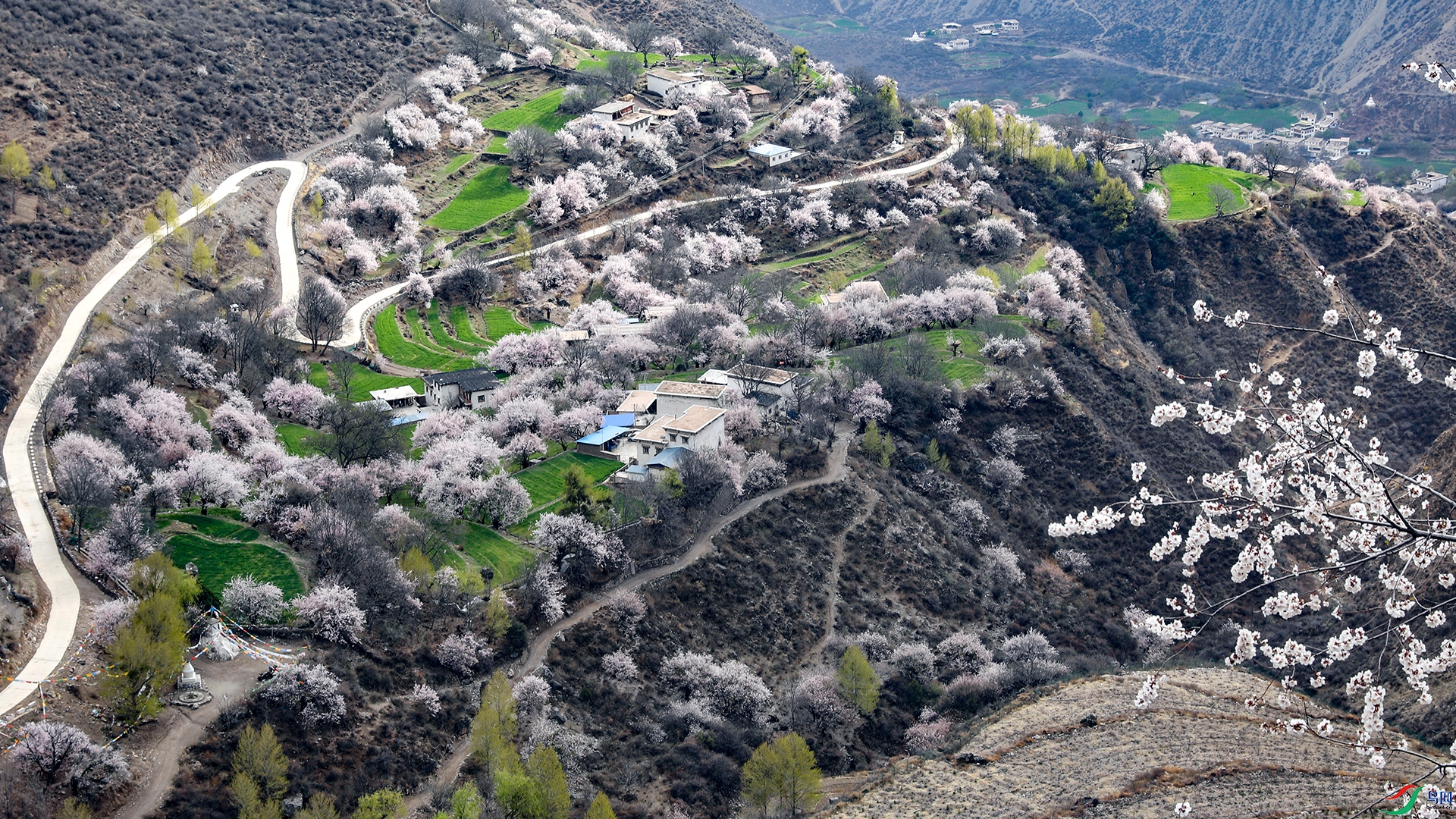 �һ�ʢ���Ĳ���Сɽ��