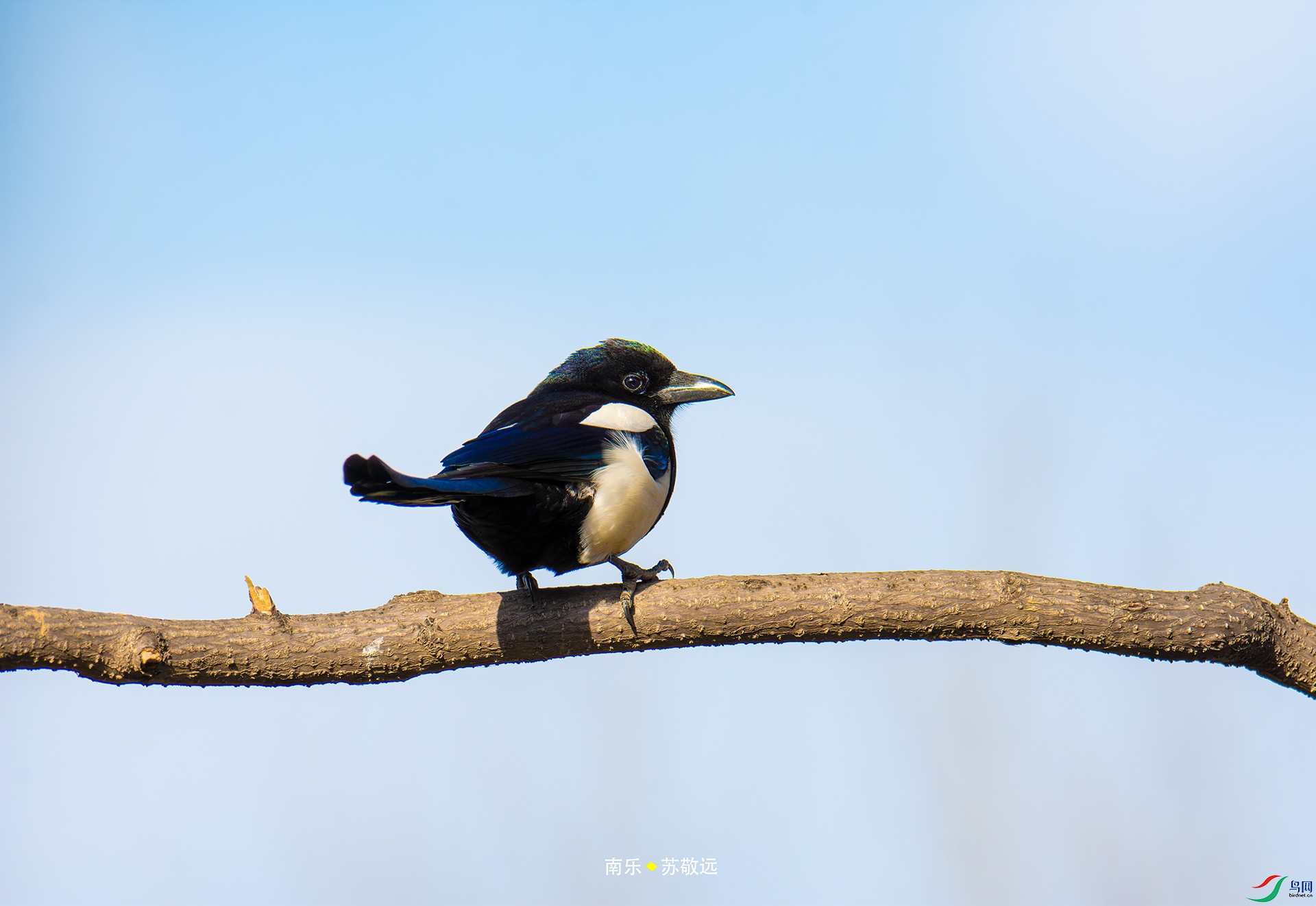 _DSC3400С.jpg