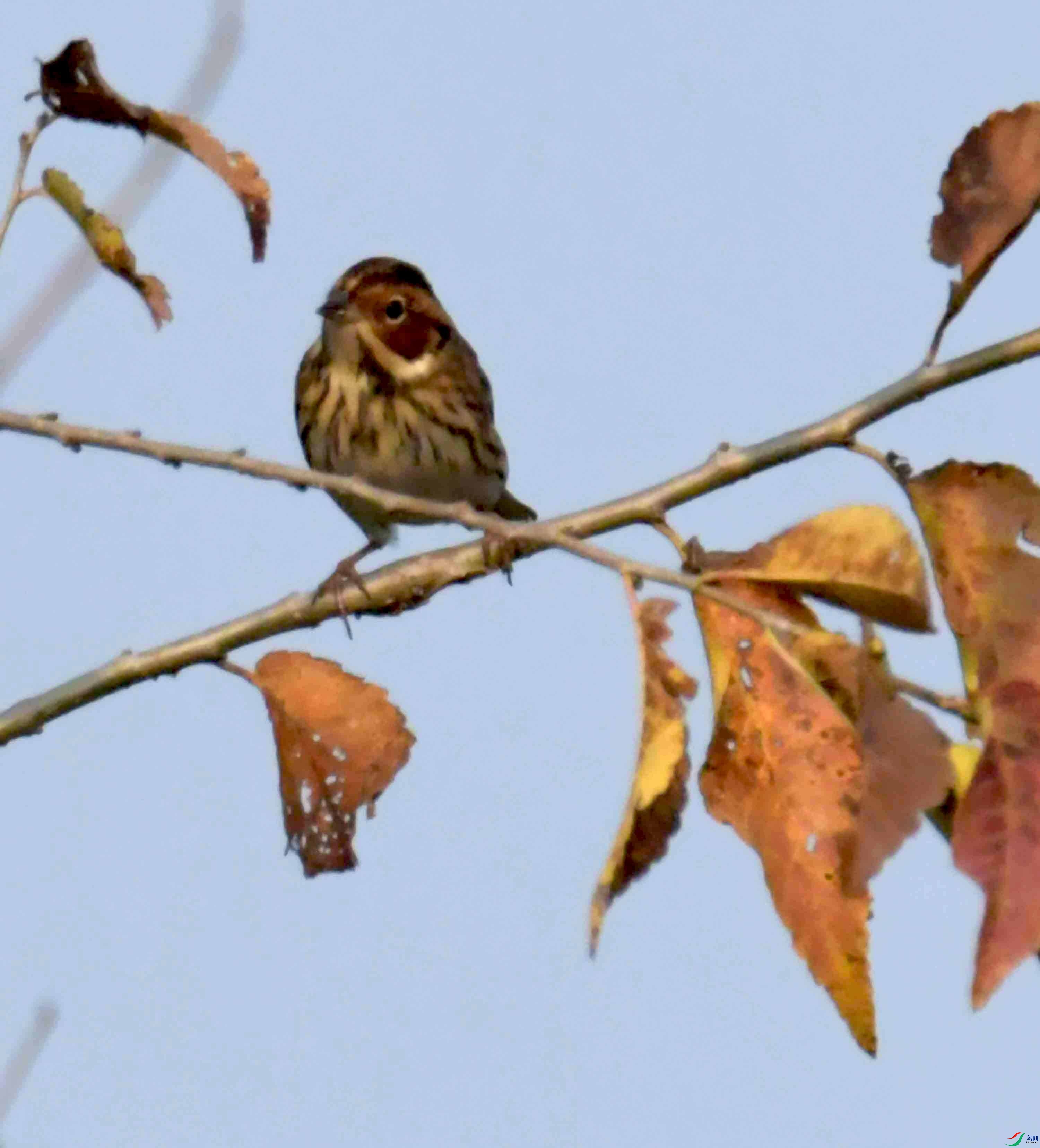 DSC_1631.JPG