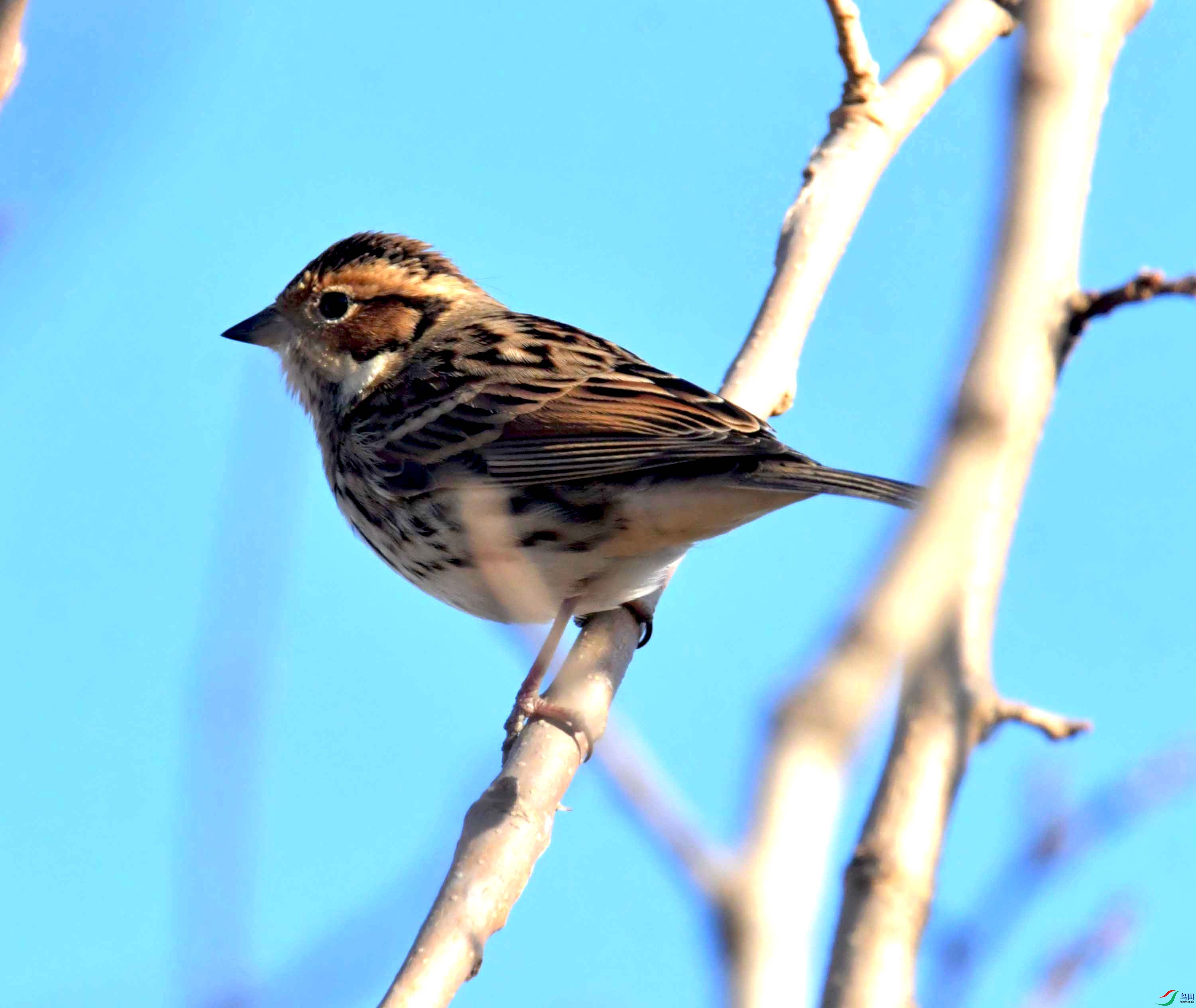 DSC_2737.JPG