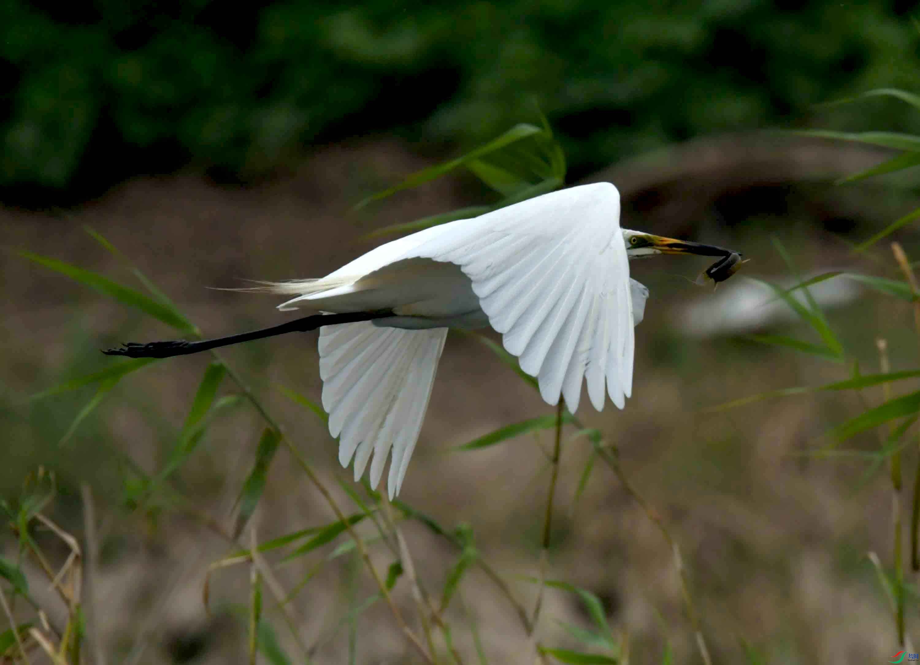 DSC_9158.JPG