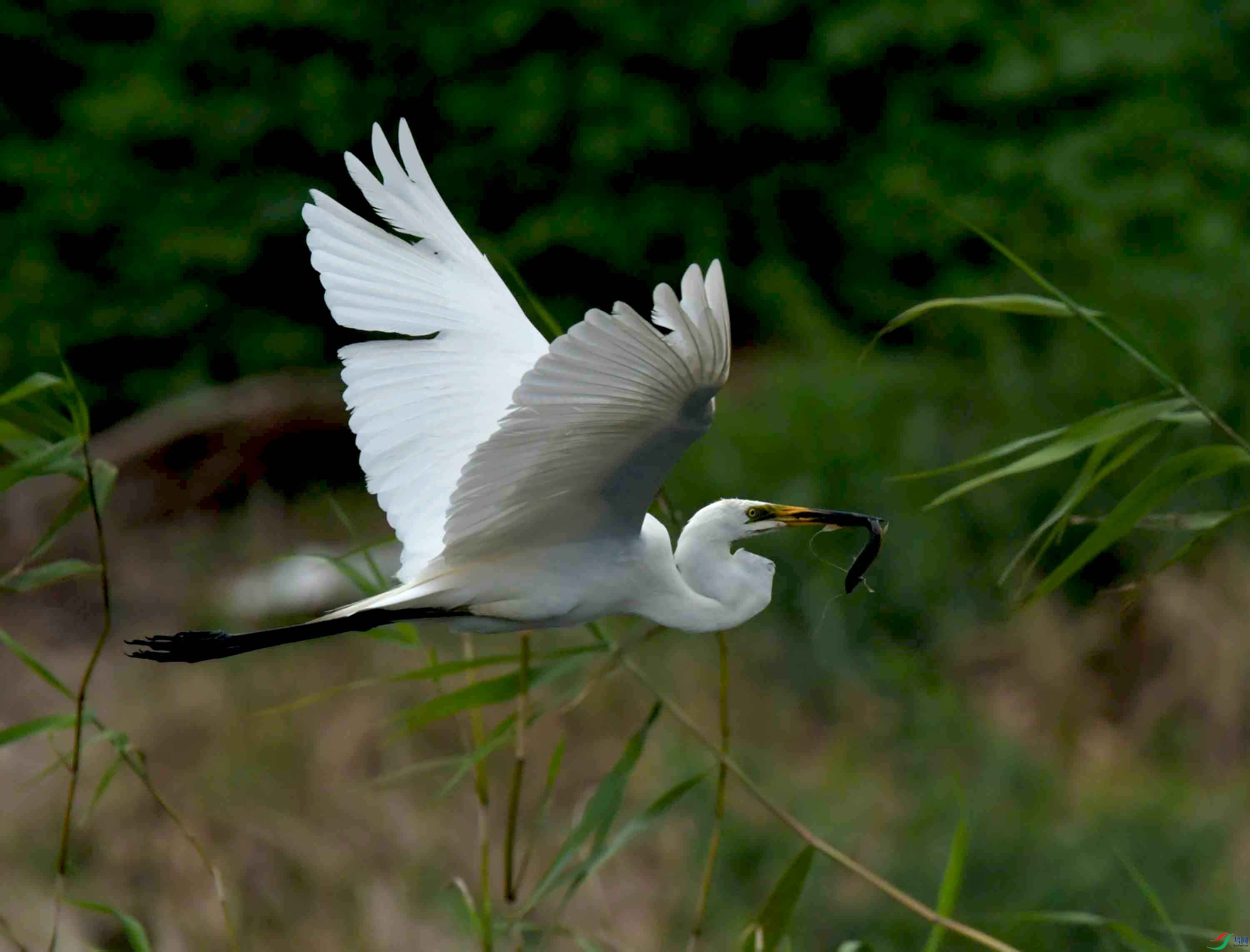 DSC_9159.JPG