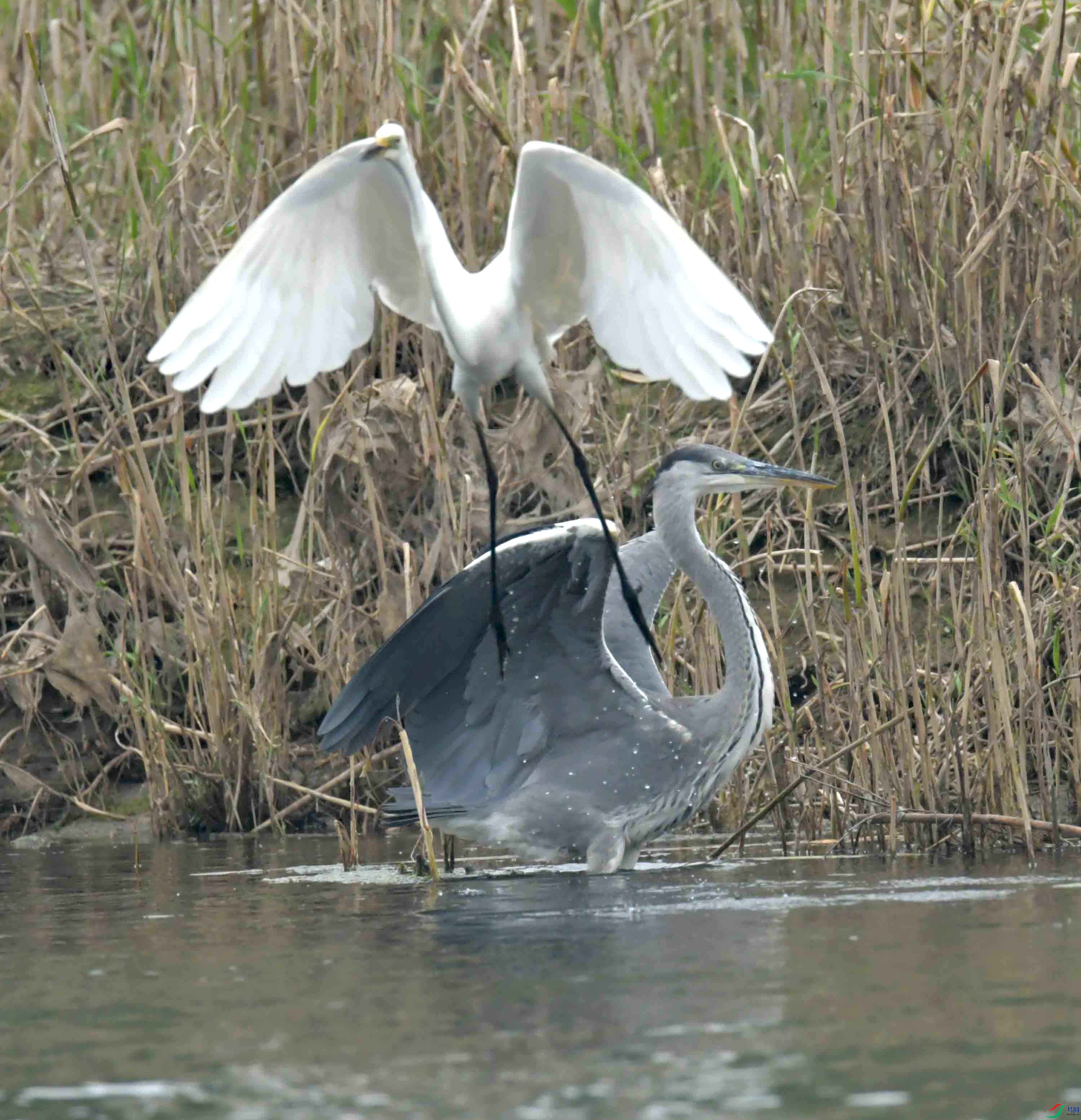 DSC_9161.JPG