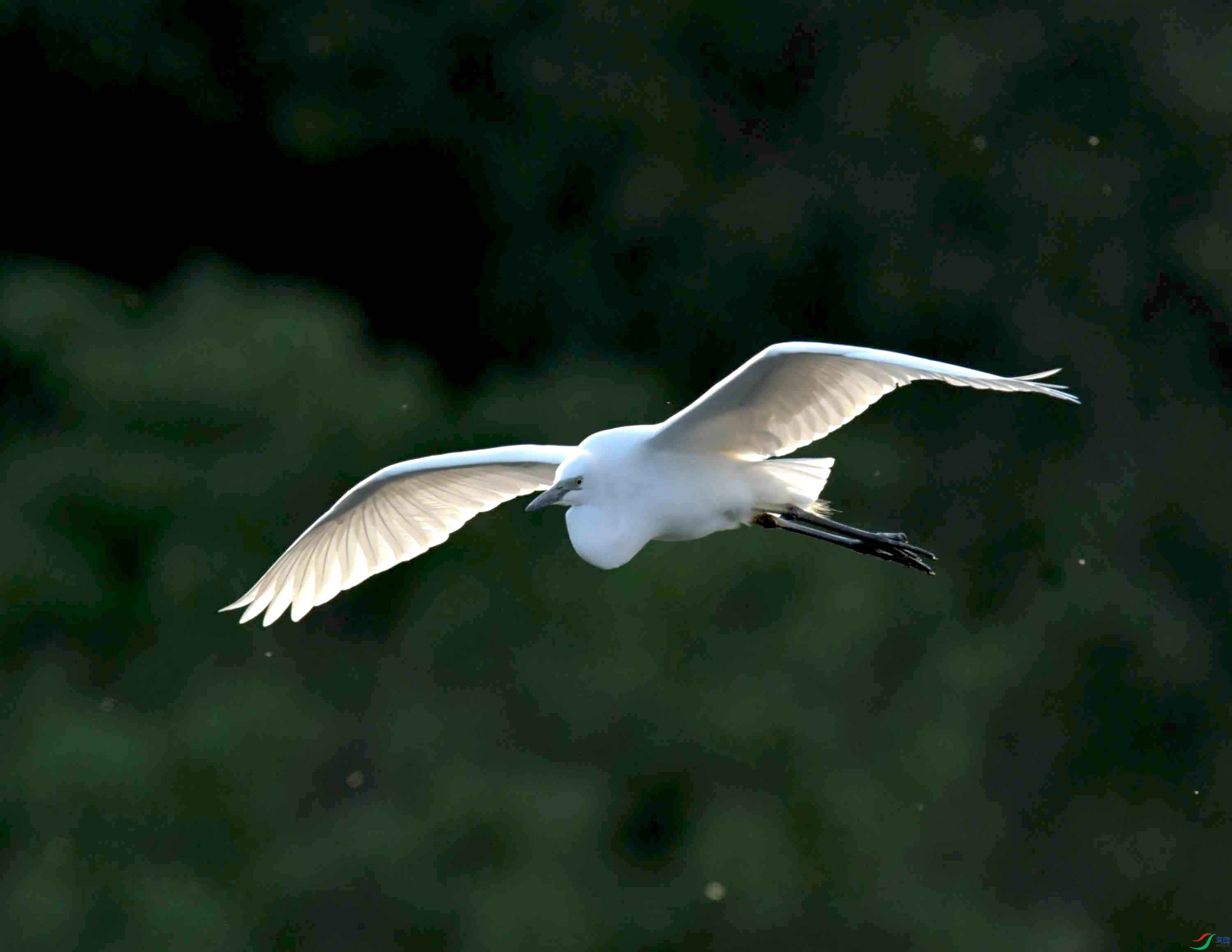 DSC_9315.JPG