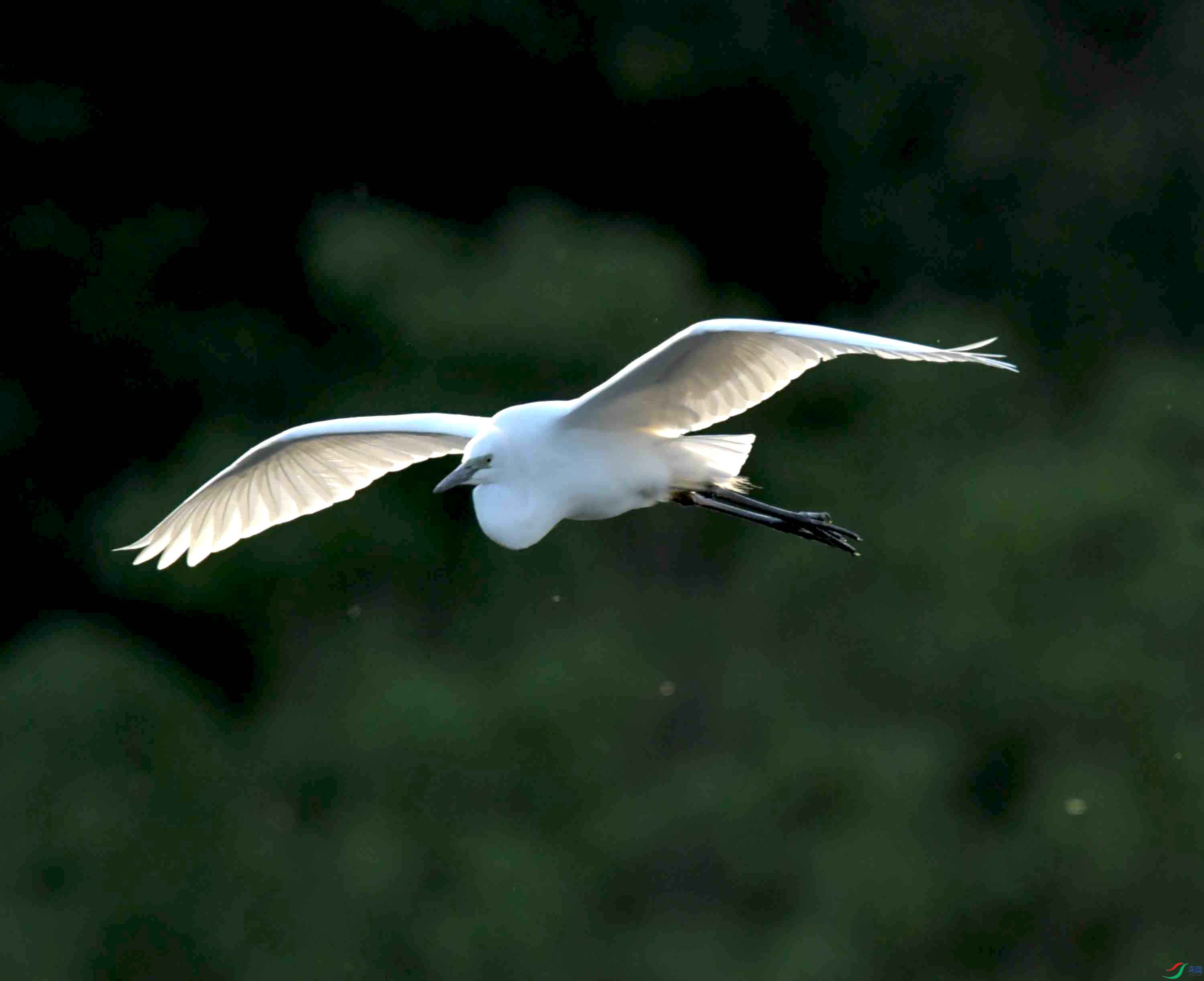 DSC_9316.JPG