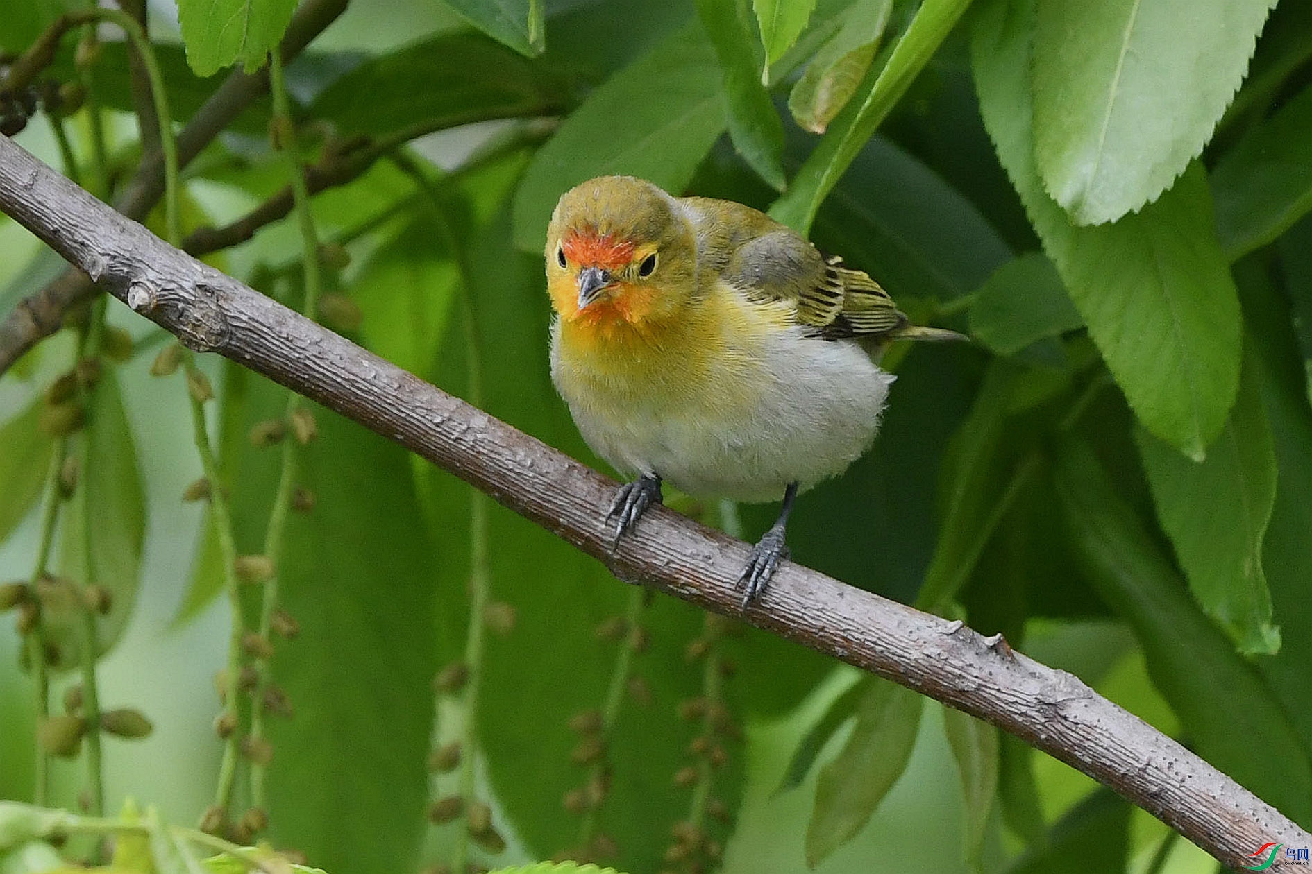 DSC_5843_����.jpg
