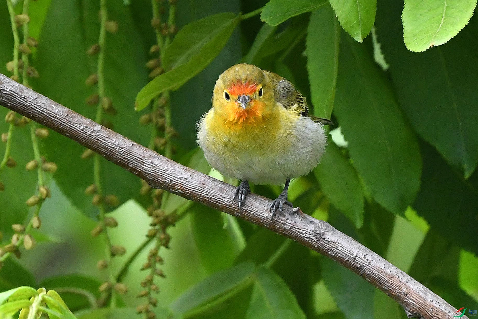 DSC_5775_����.jpg