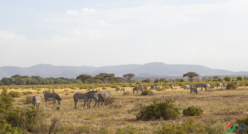 ���� (3).jpg