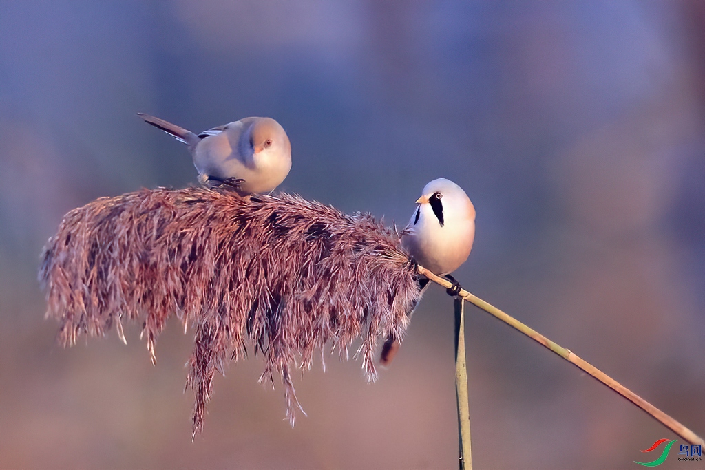 1 (45).jpg