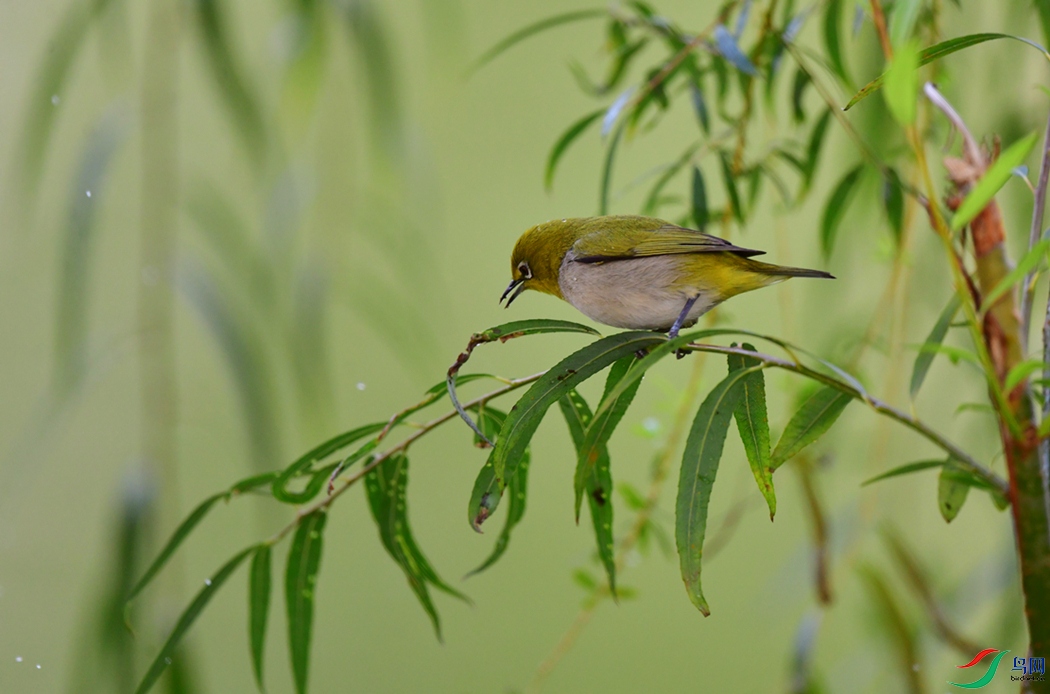 DSC_3055_��ͼ��_����333.jpg