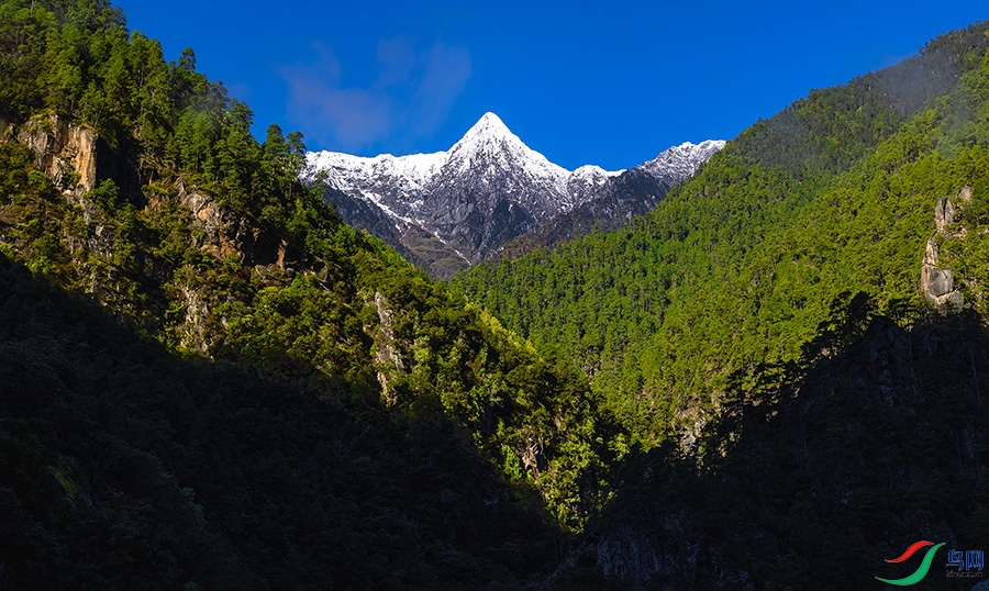 3V6A1198 ����.jpg