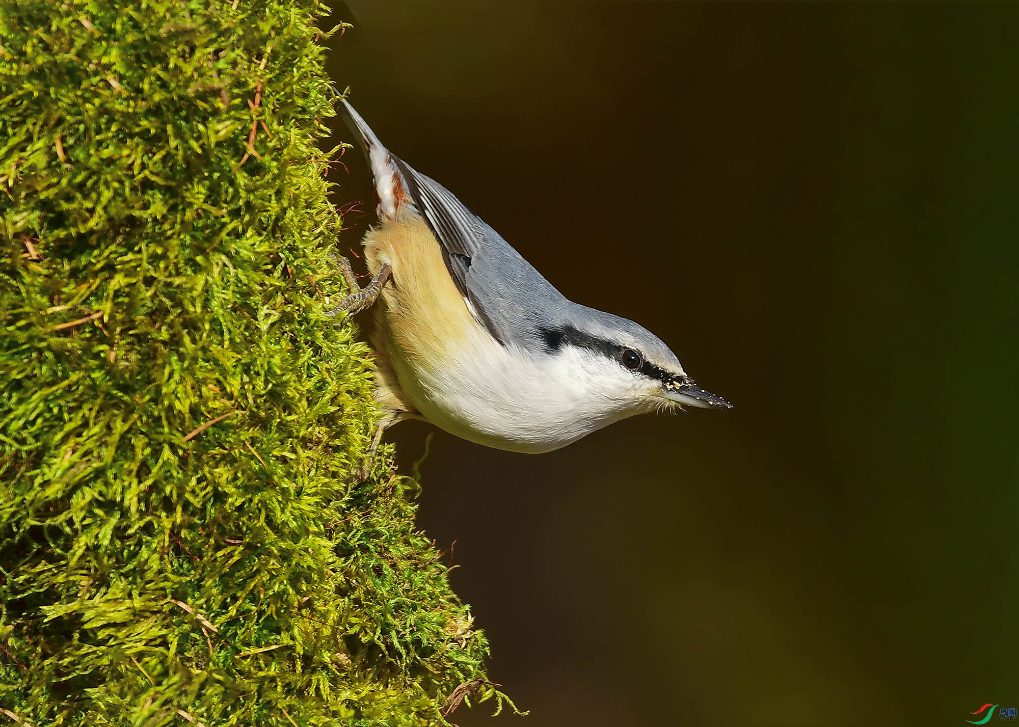 DSC_4460.jpg