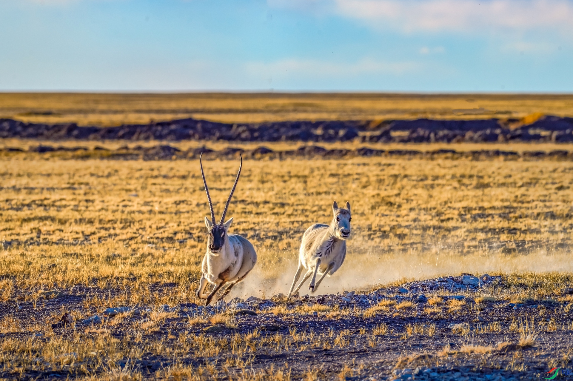 _DSC3442_����.jpg