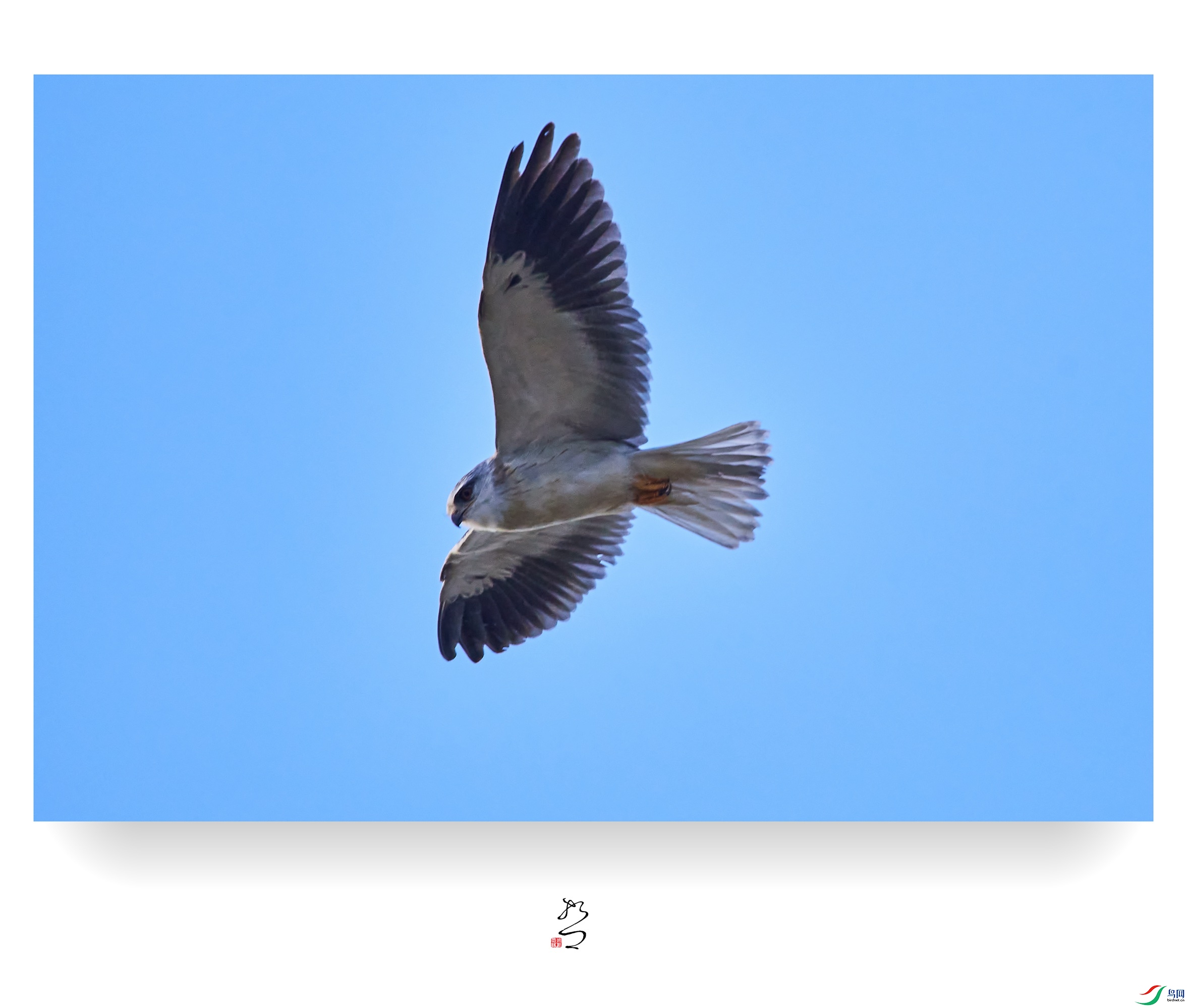 ����ʪ�� ̫ƽʪ��2022-12-11DSC_0080_����.jpg