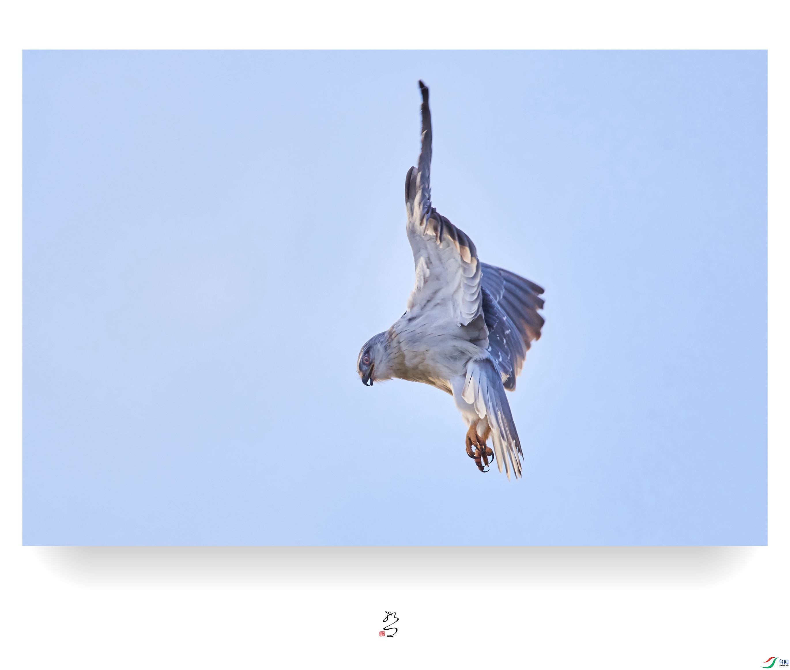 ����ʪ�� ̫ƽʪ��2022-12-11DSC_0093_����.jpg